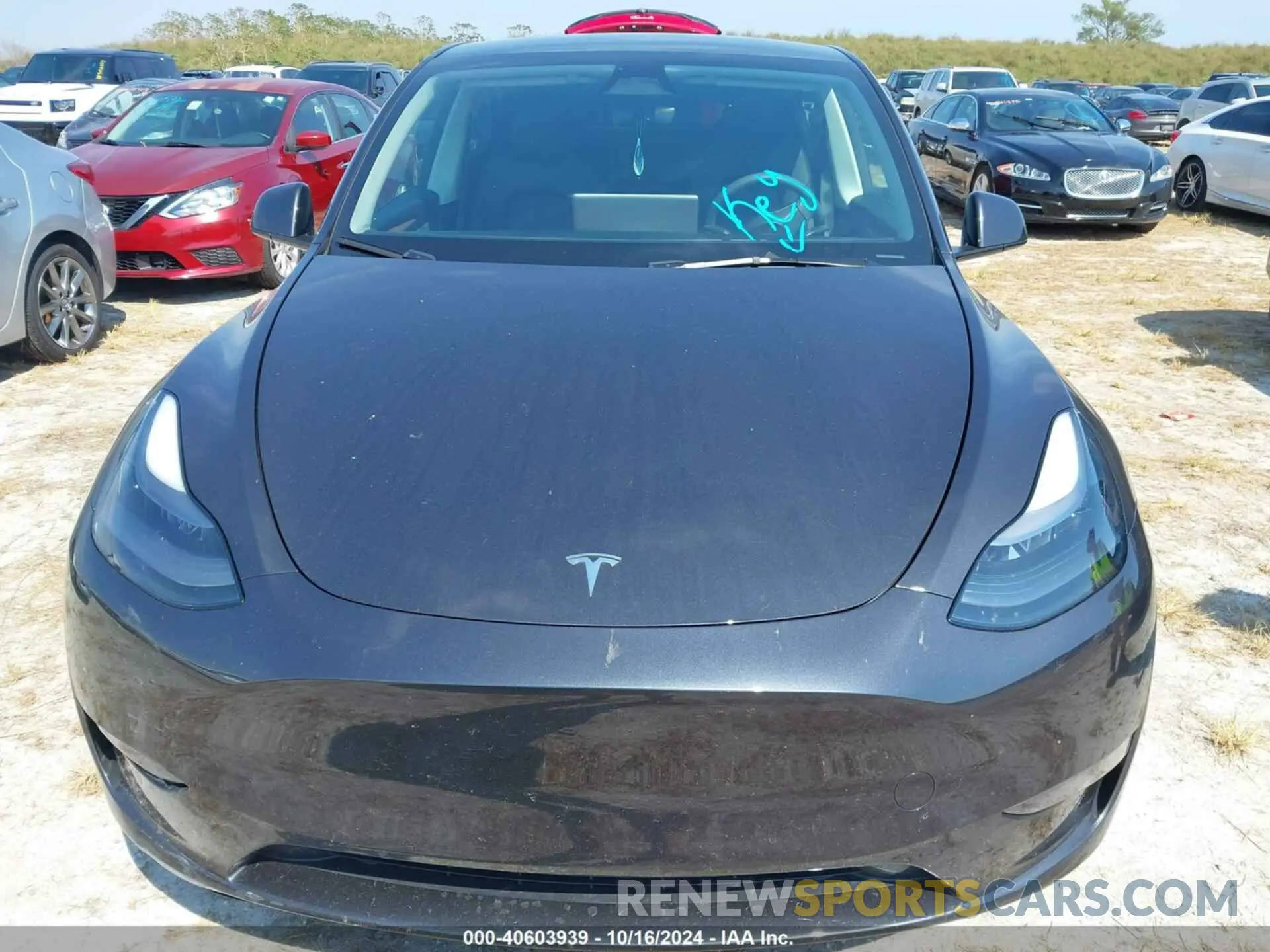 12 Фотография поврежденного автомобиля 7SAYGDED7RF040790 TESLA MODEL Y 2024