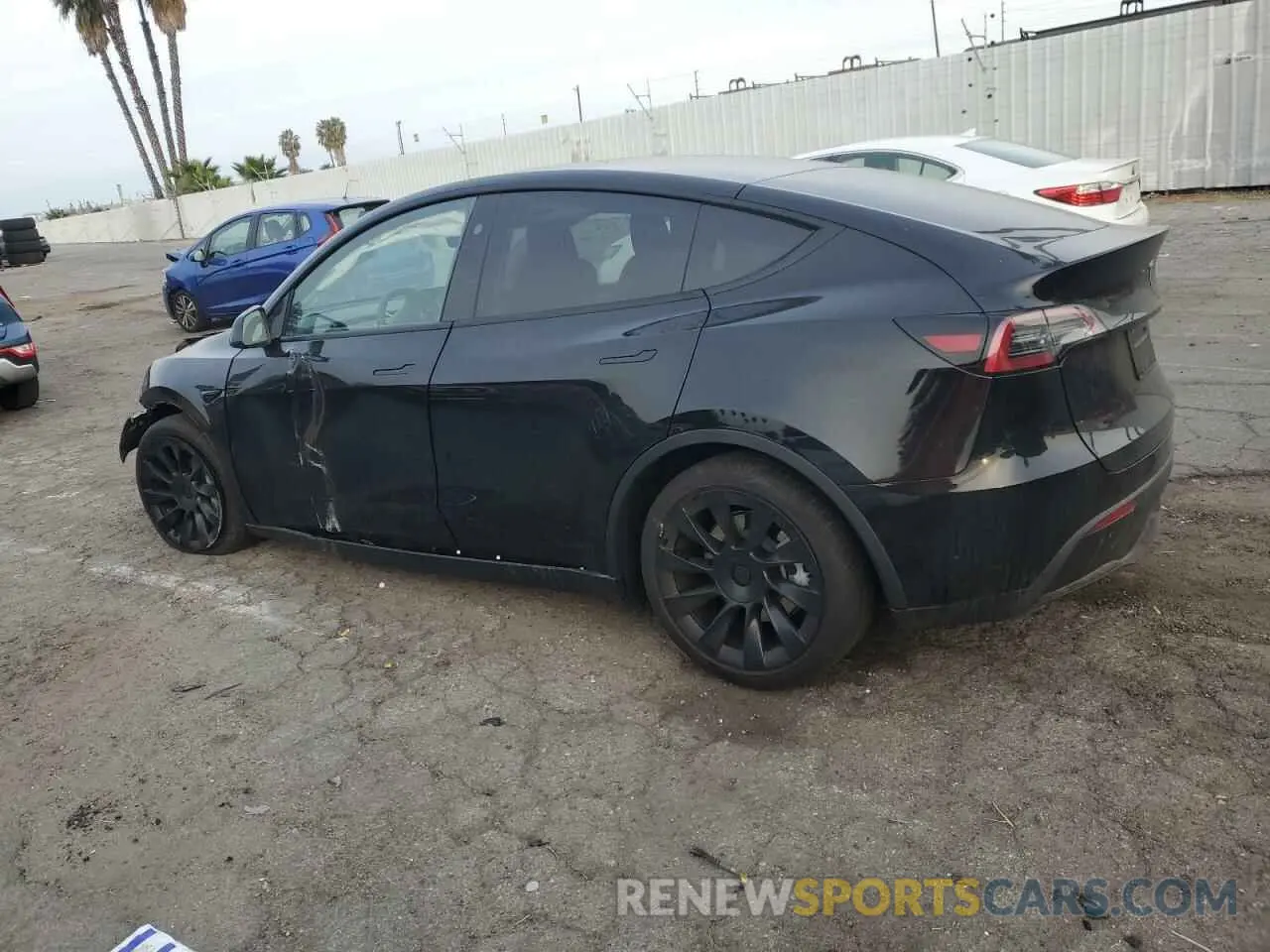 2 Photograph of a damaged car 7SAYGDED8RF094440 TESLA MODEL Y 2024