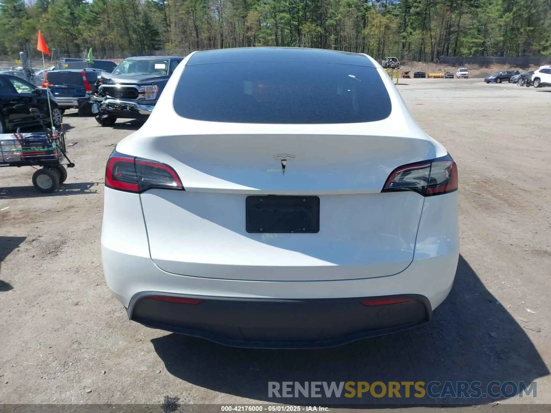 16 Фотография поврежденного автомобиля 7SAYGDED8RF211112 TESLA MODEL Y 2024