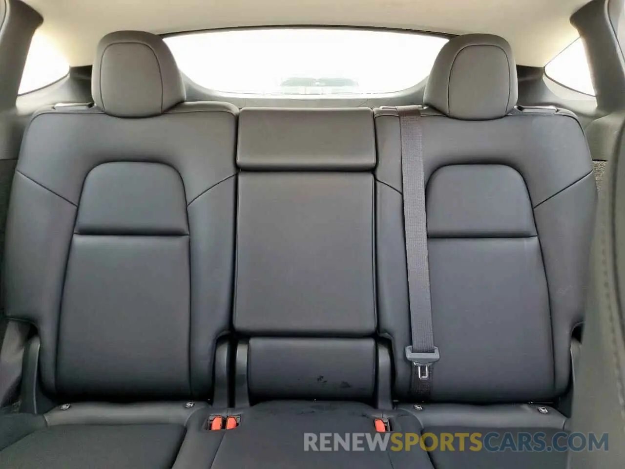 10 Photograph of a damaged car 7SAYGDED9RF044629 TESLA MODEL Y 2024