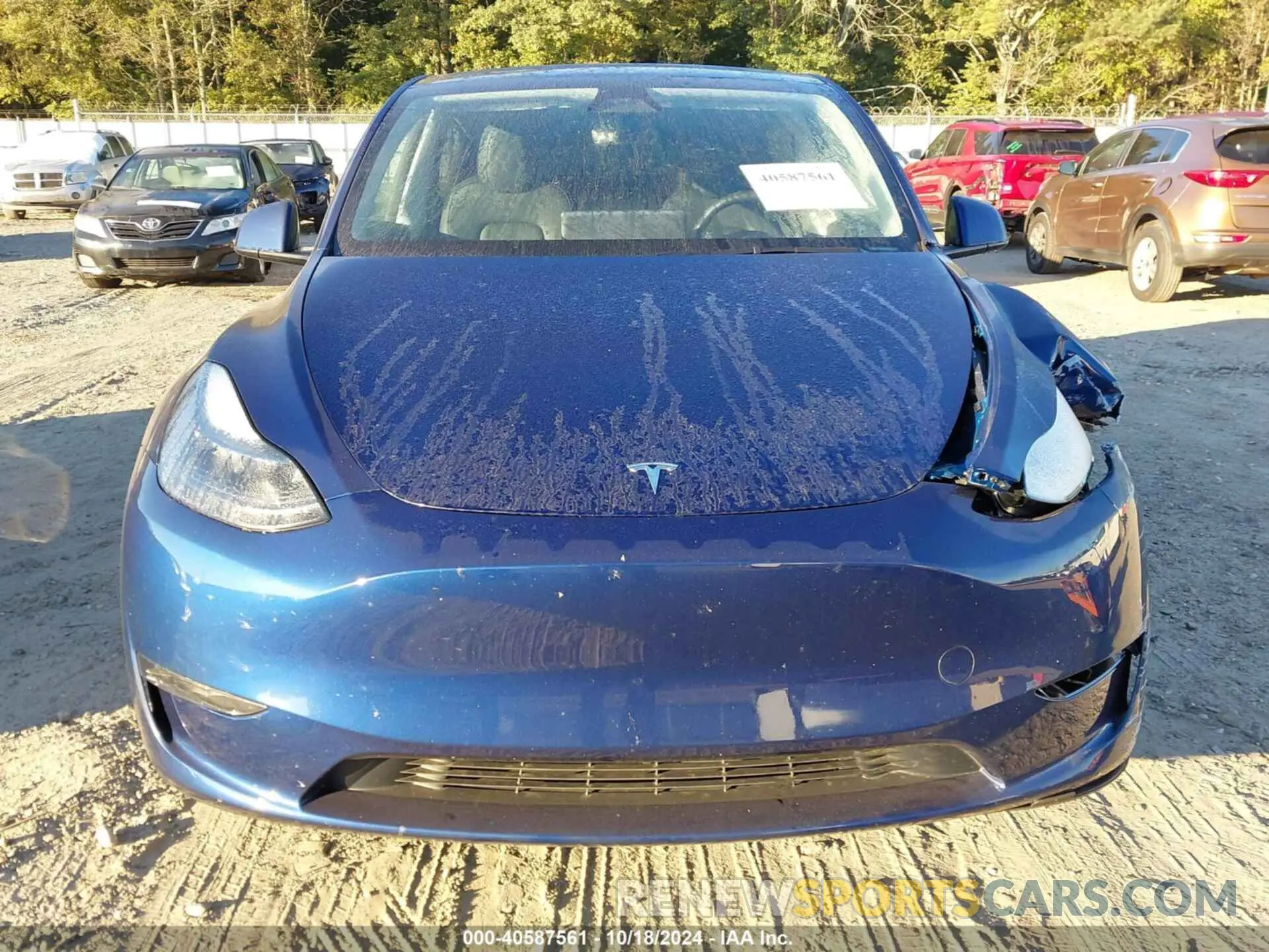 12 Photograph of a damaged car 7SAYGDEDXRA323777 TESLA MODEL Y 2024