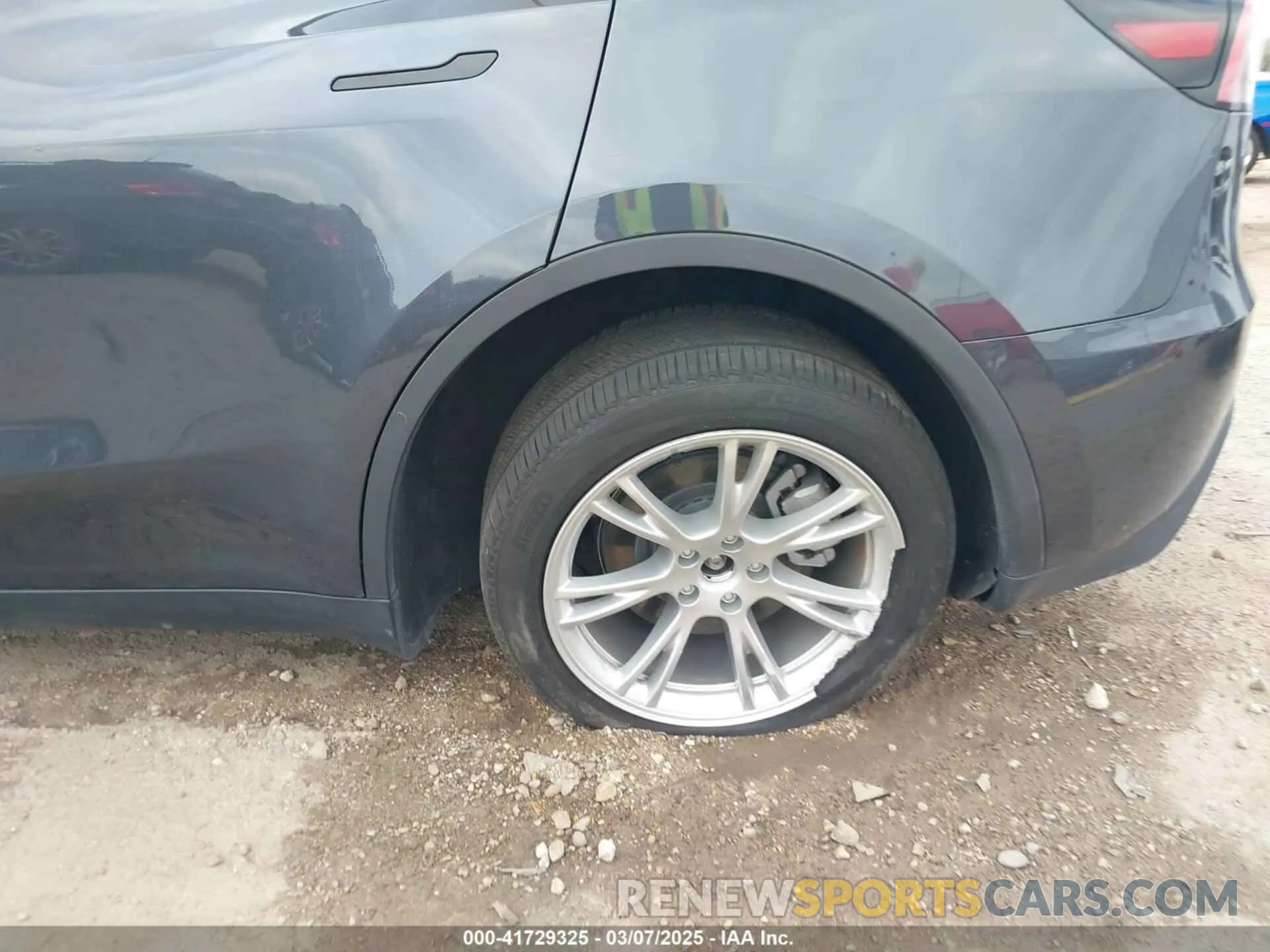 19 Фотография поврежденного автомобиля 7SAYGDEE0RA261489 TESLA MODEL Y 2024