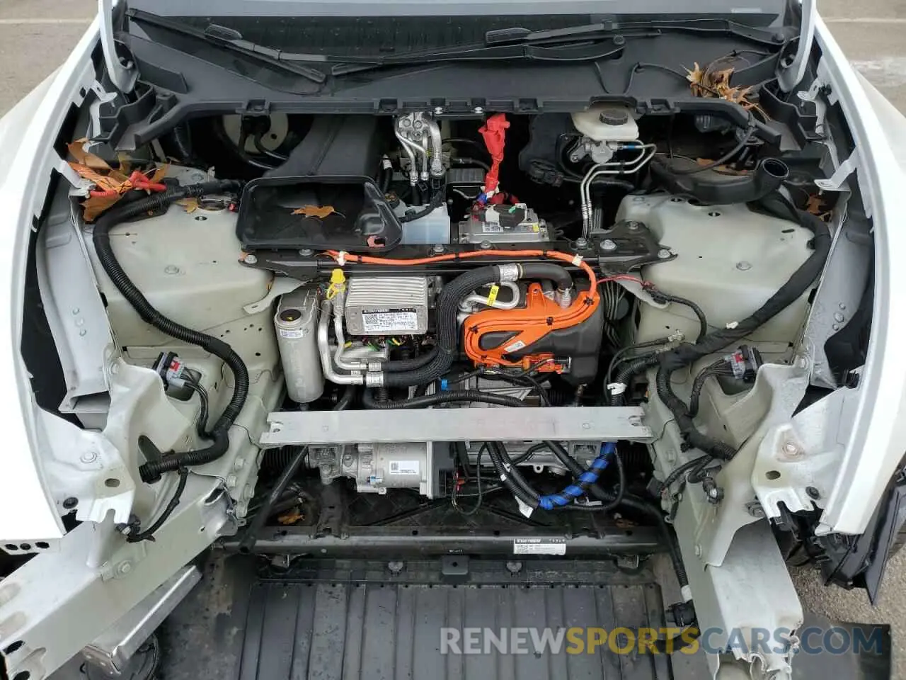 13 Фотография поврежденного автомобиля 7SAYGDEE0RA301618 TESLA MODEL Y 2024