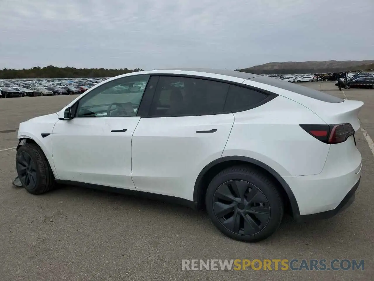 2 Фотография поврежденного автомобиля 7SAYGDEE0RA301618 TESLA MODEL Y 2024