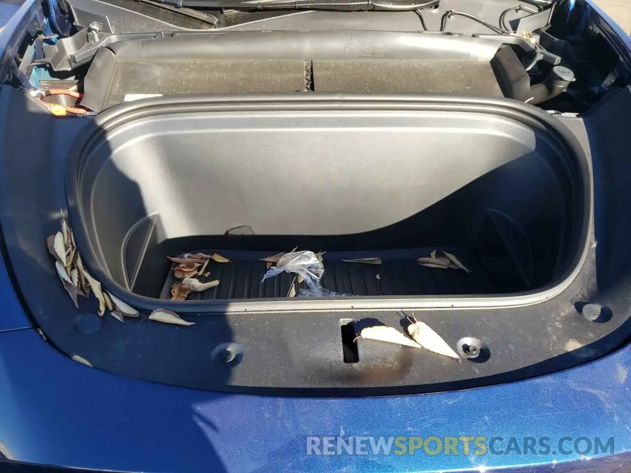 11 Photograph of a damaged car 7SAYGDEE0RA320055 TESLA MODEL Y 2024