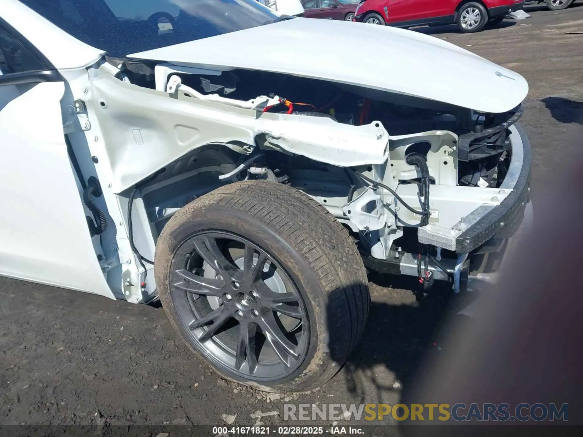 19 Фотография поврежденного автомобиля 7SAYGDEE0RA328091 TESLA MODEL Y 2024