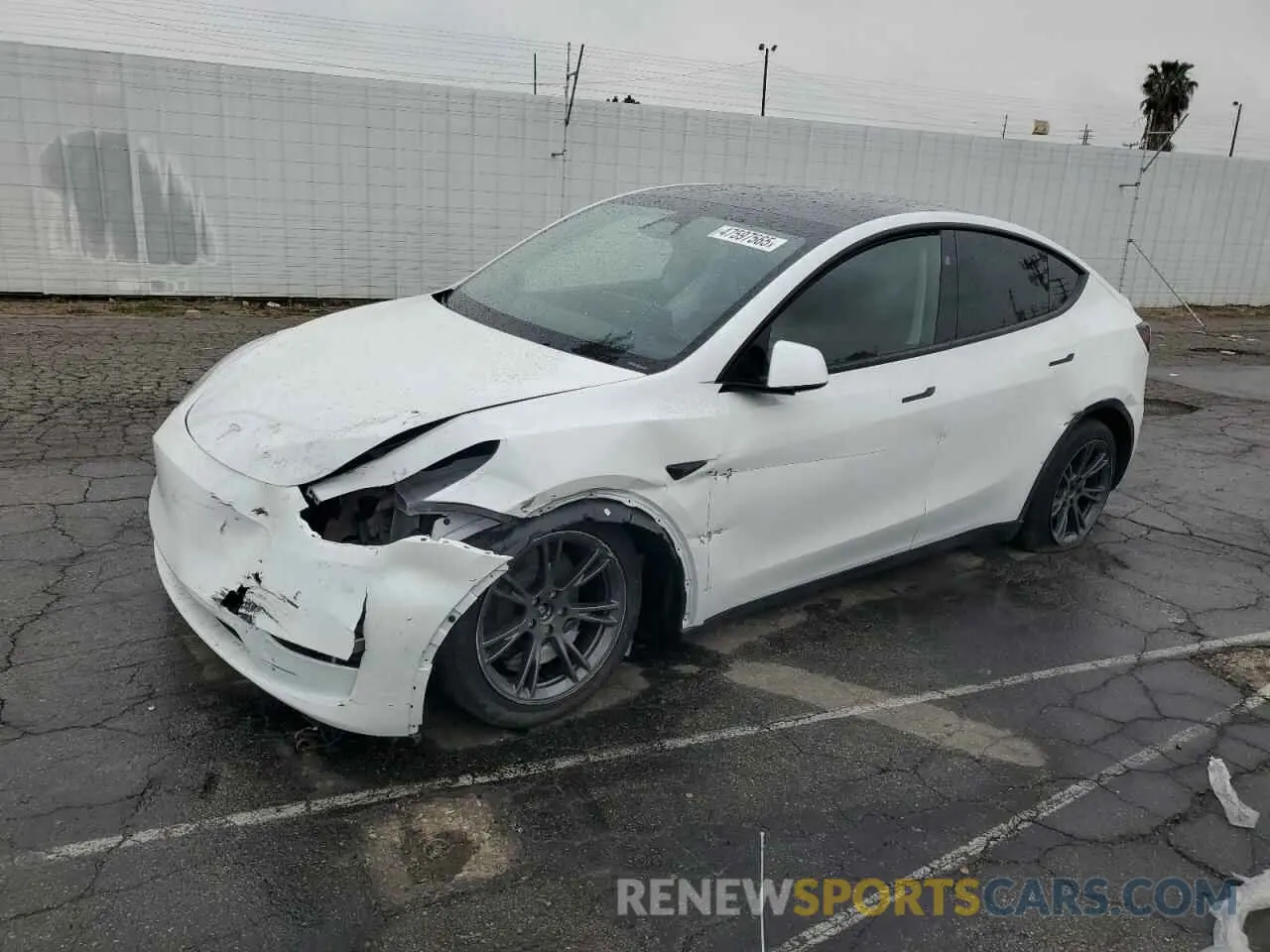 1 Фотография поврежденного автомобиля 7SAYGDEE0RF165672 TESLA MODEL Y 2024