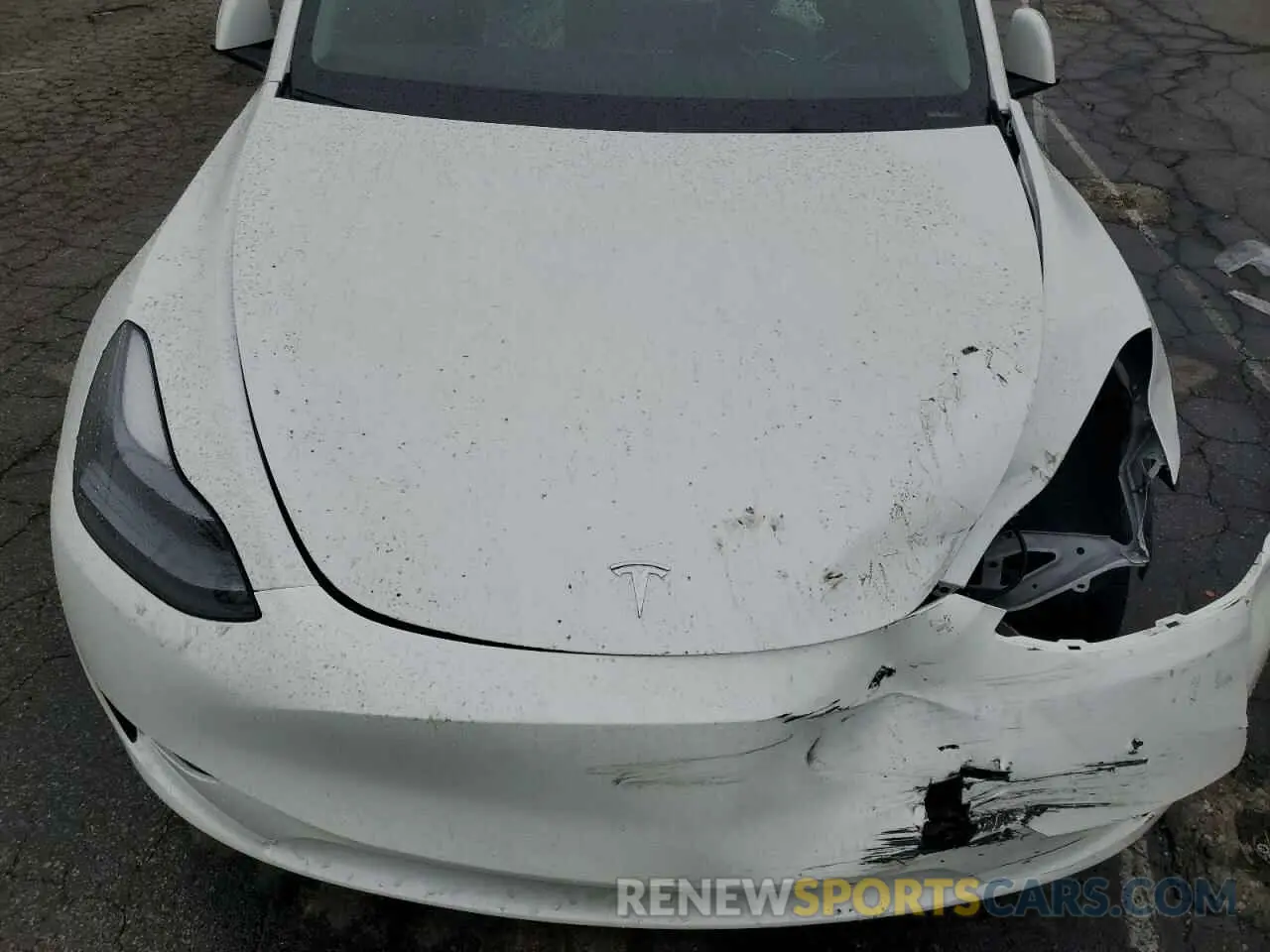 13 Фотография поврежденного автомобиля 7SAYGDEE0RF165672 TESLA MODEL Y 2024