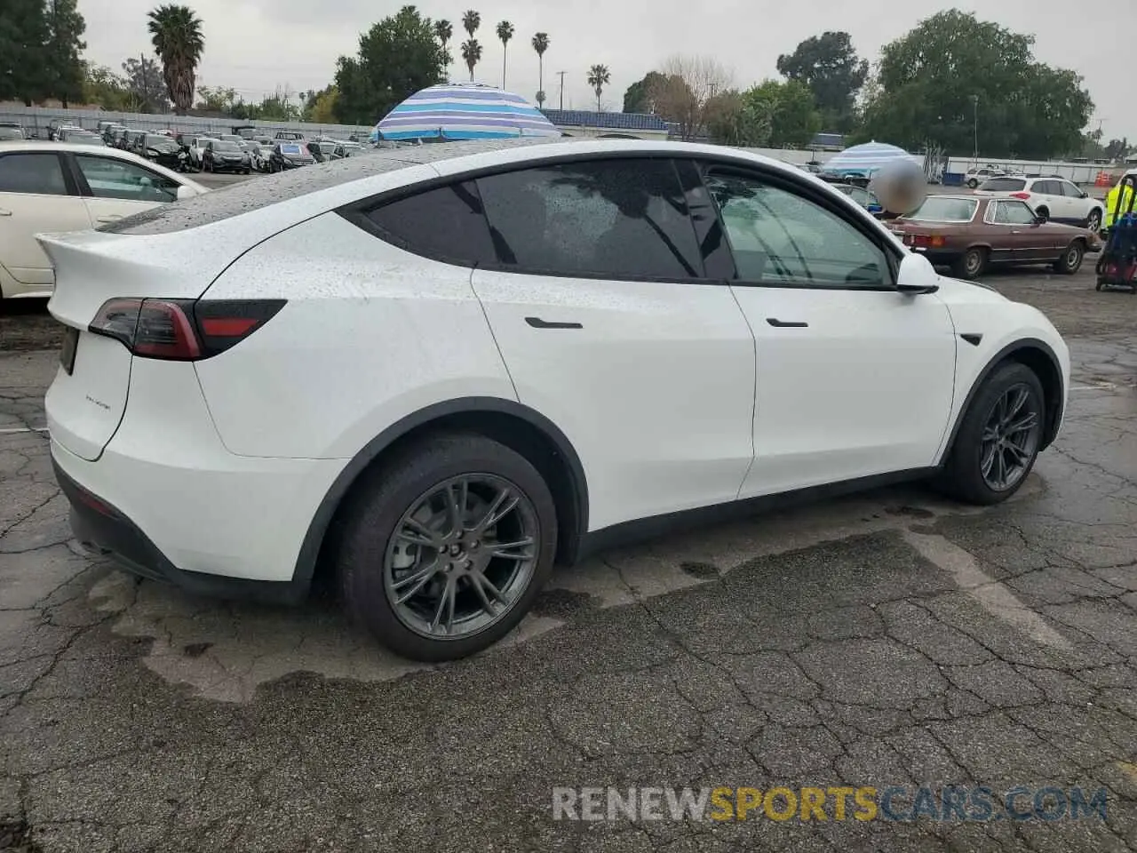 3 Фотография поврежденного автомобиля 7SAYGDEE0RF165672 TESLA MODEL Y 2024
