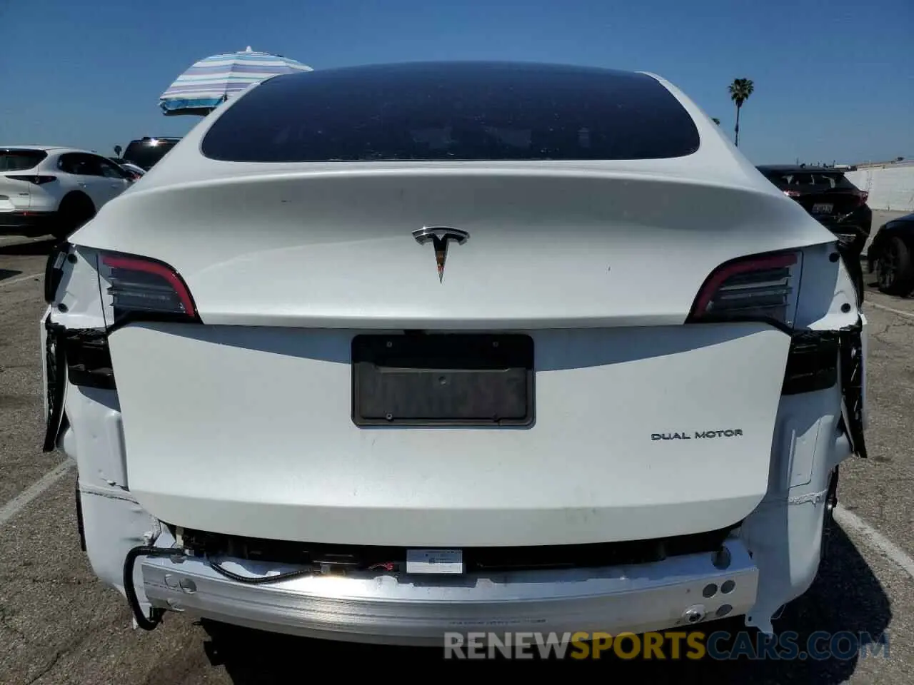6 Фотография поврежденного автомобиля 7SAYGDEE0RF169236 TESLA MODEL Y 2024