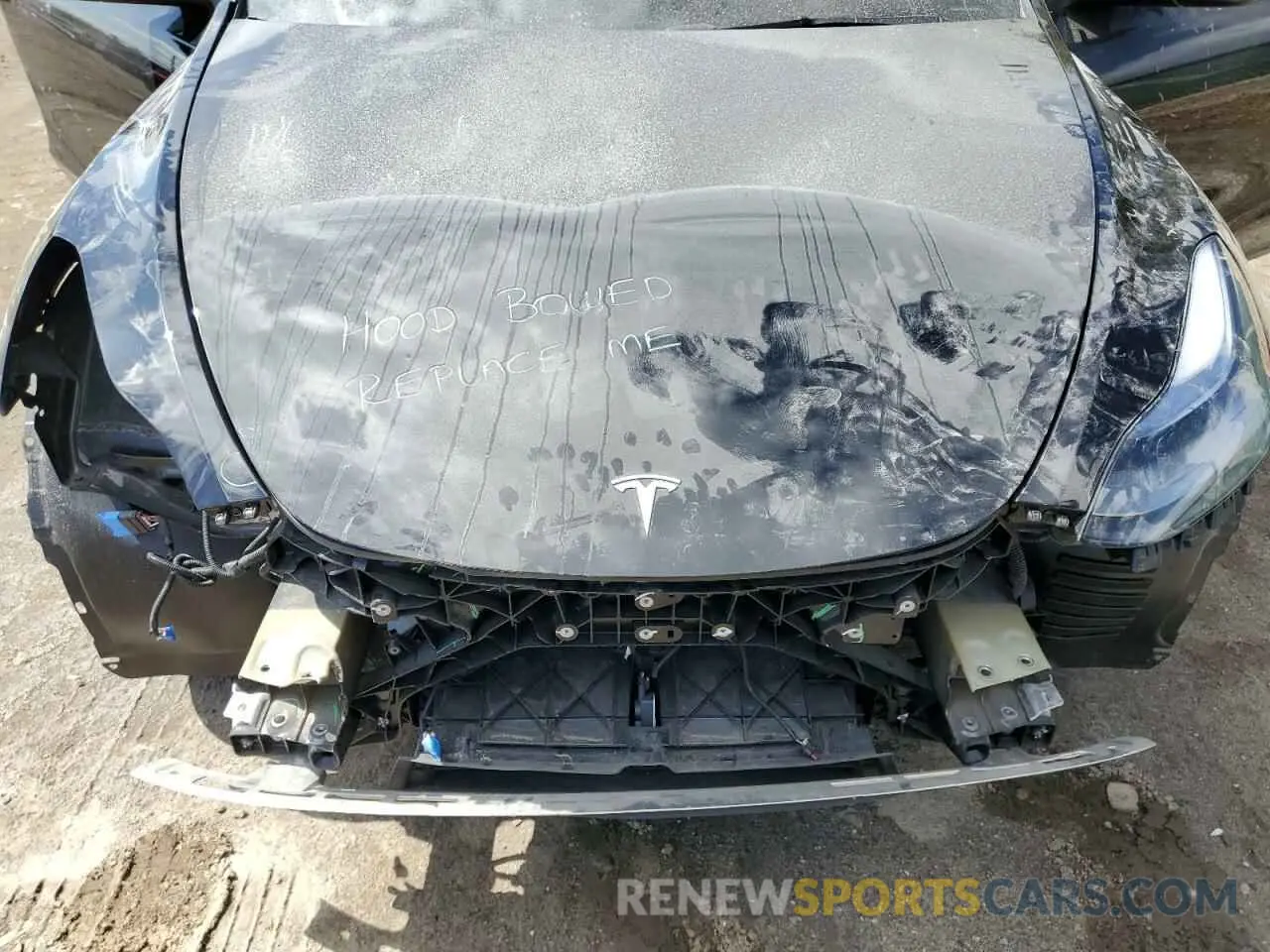 12 Фотография поврежденного автомобиля 7SAYGDEE0RF202381 TESLA MODEL Y 2024