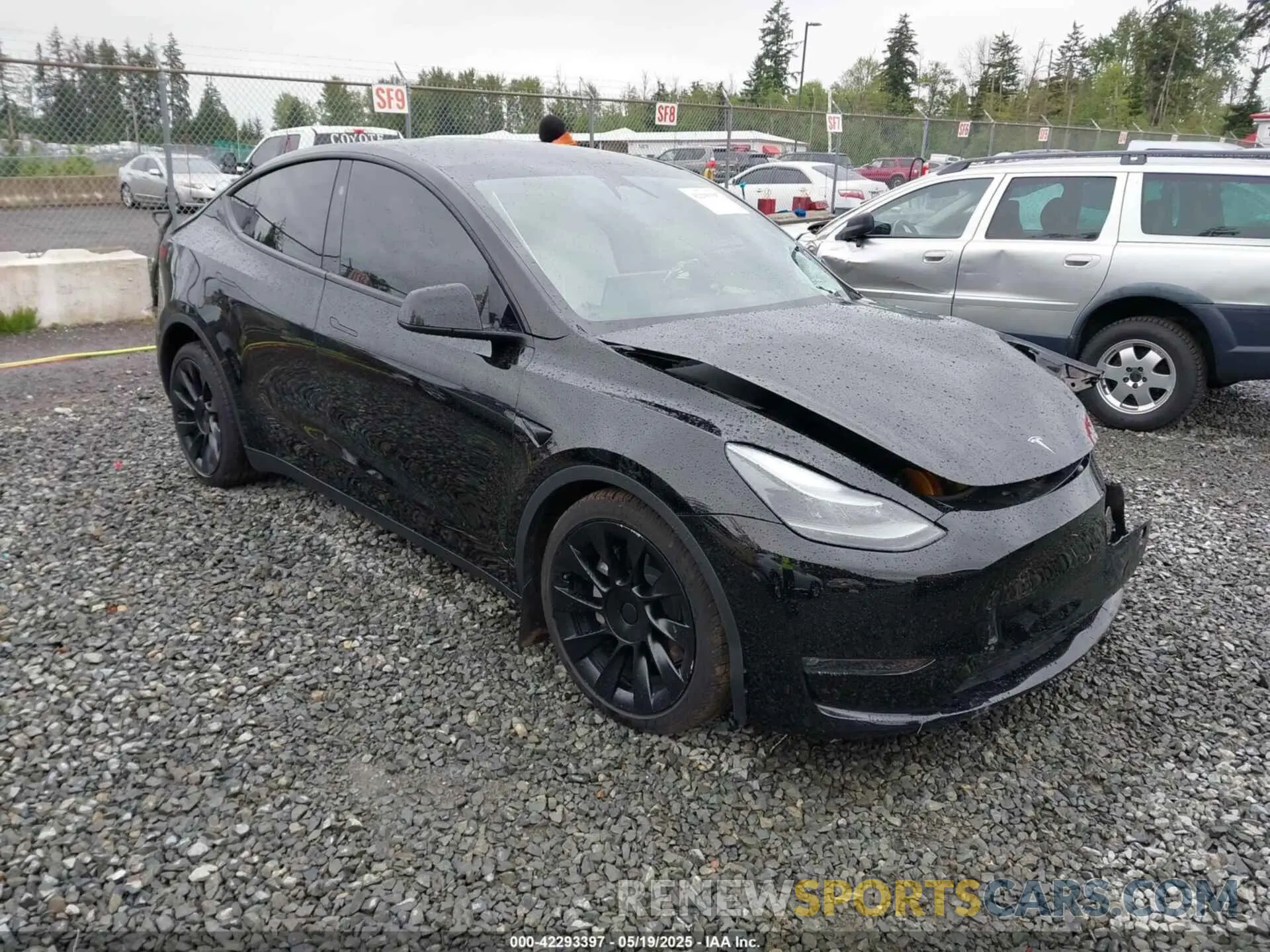 1 Photograph of a damaged car 7SAYGDEE1RF033066 TESLA MODEL Y 2024