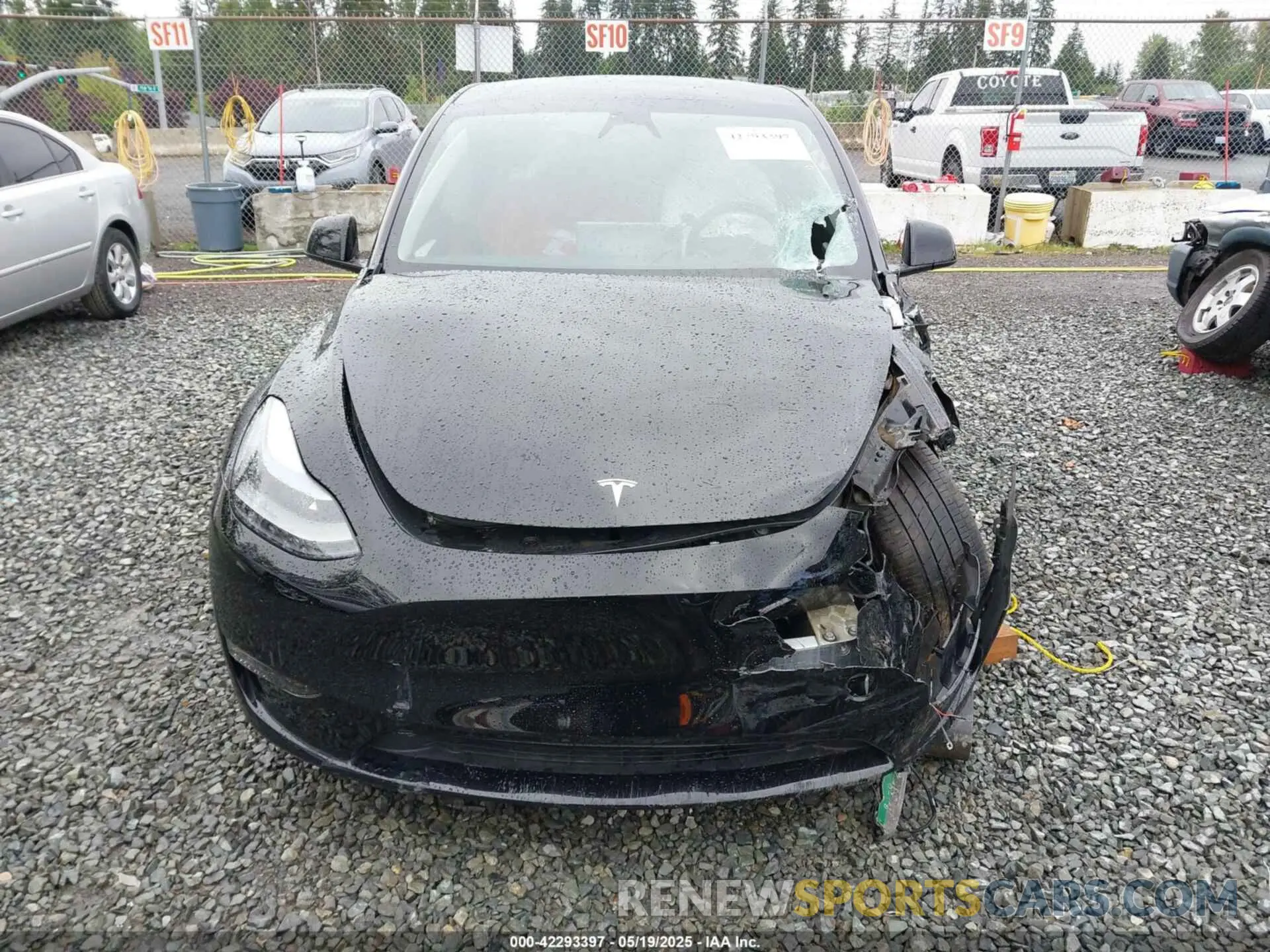 12 Photograph of a damaged car 7SAYGDEE1RF033066 TESLA MODEL Y 2024