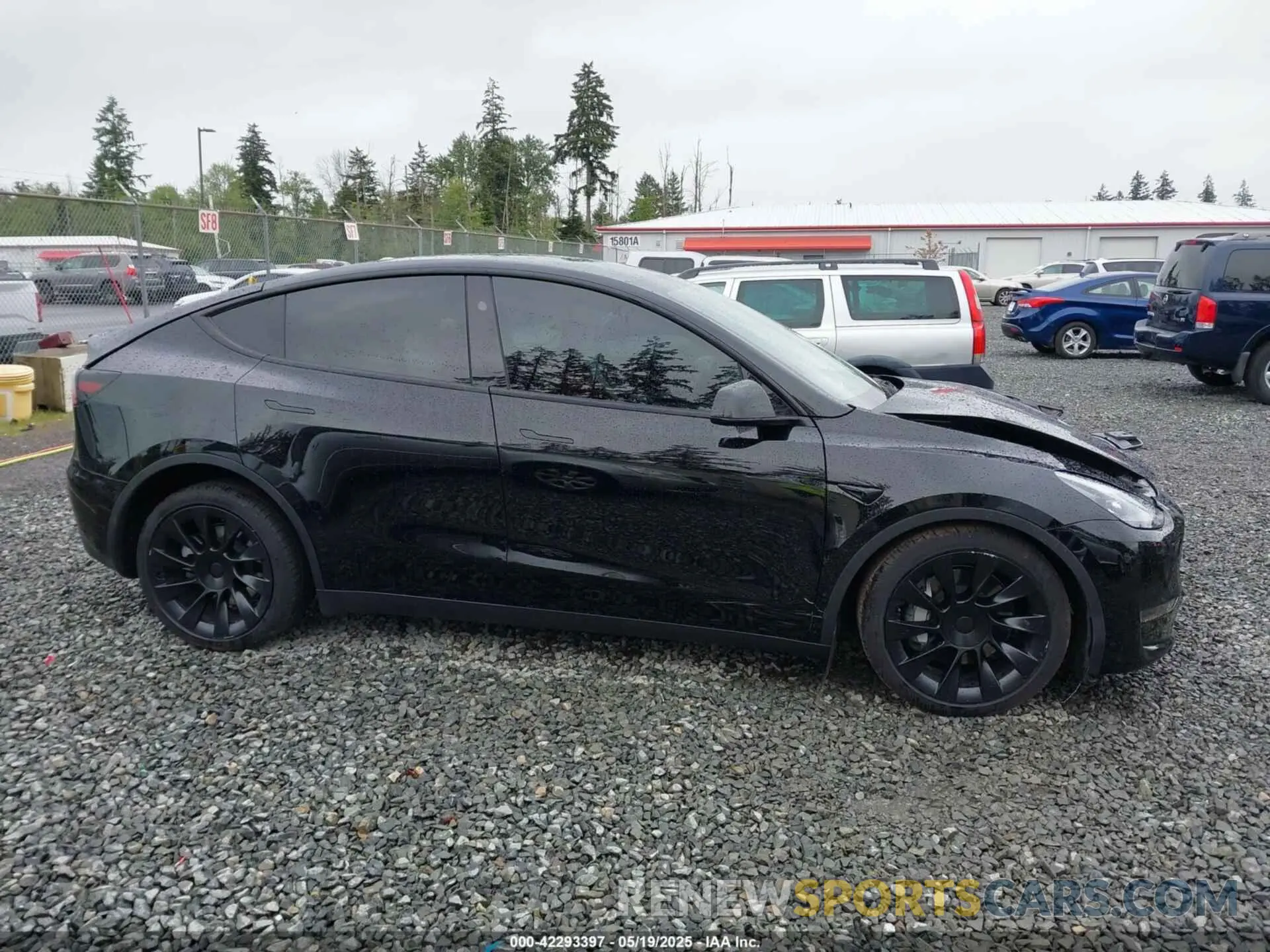 13 Photograph of a damaged car 7SAYGDEE1RF033066 TESLA MODEL Y 2024