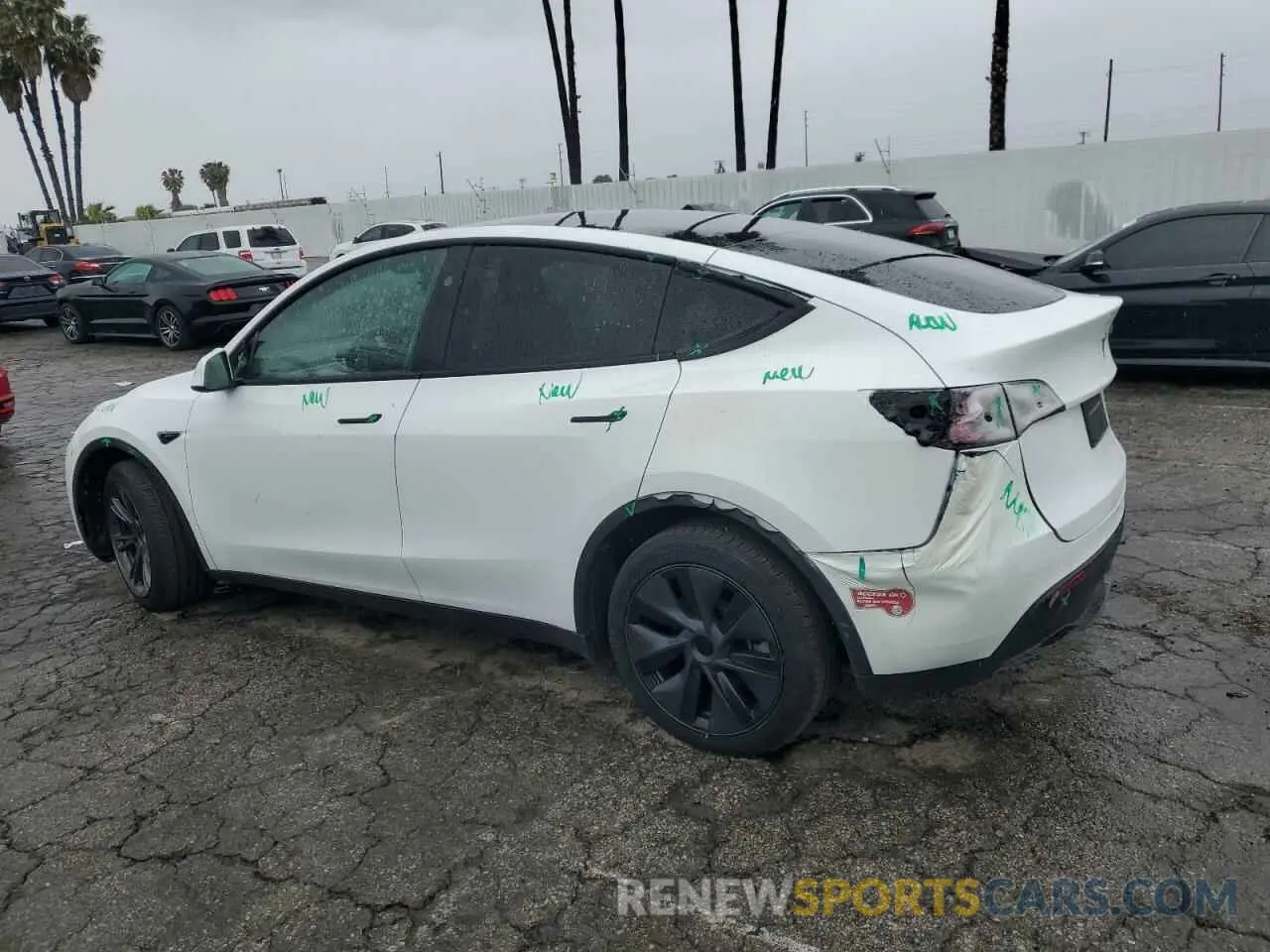 2 Photograph of a damaged car 7SAYGDEE1RF124192 TESLA MODEL Y 2024