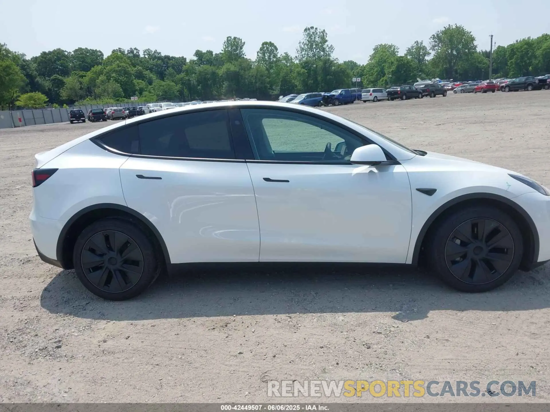 13 Photograph of a damaged car 7SAYGDEE1RF185655 TESLA MODEL Y 2024