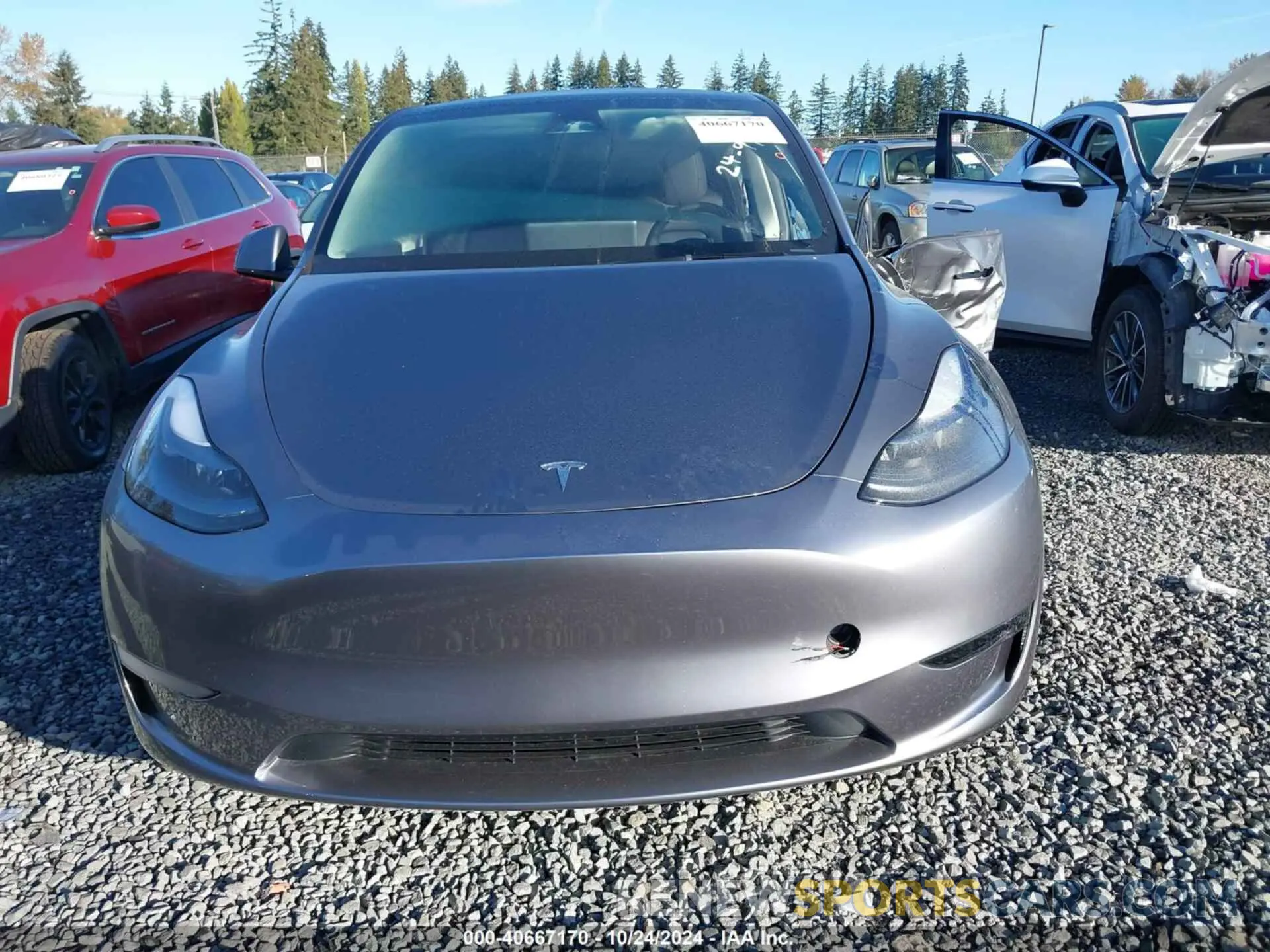 12 Photograph of a damaged car 7SAYGDEE1RF200705 TESLA MODEL Y 2024