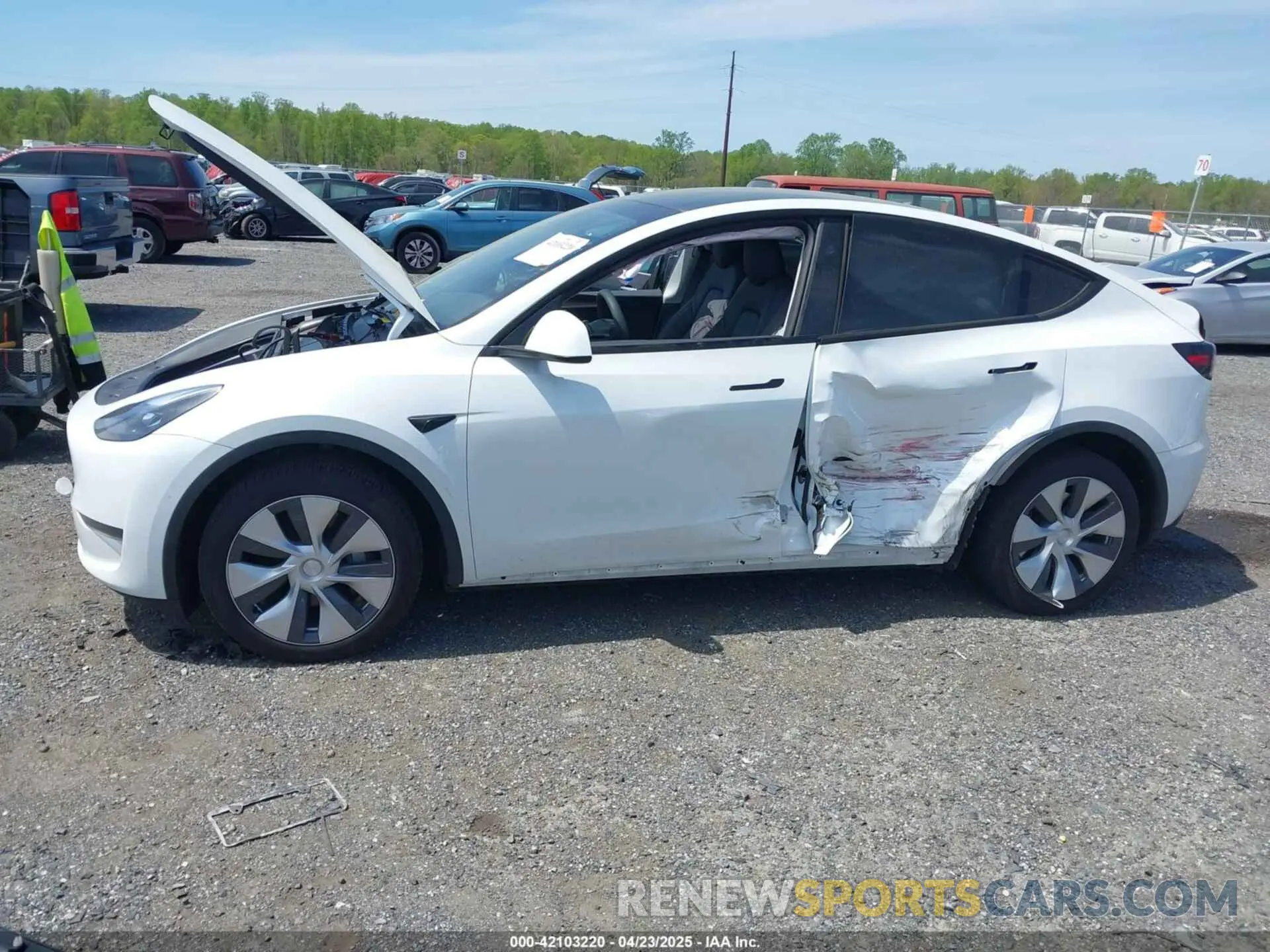 6 Фотография поврежденного автомобиля 7SAYGDEE2RA223679 TESLA MODEL Y 2024