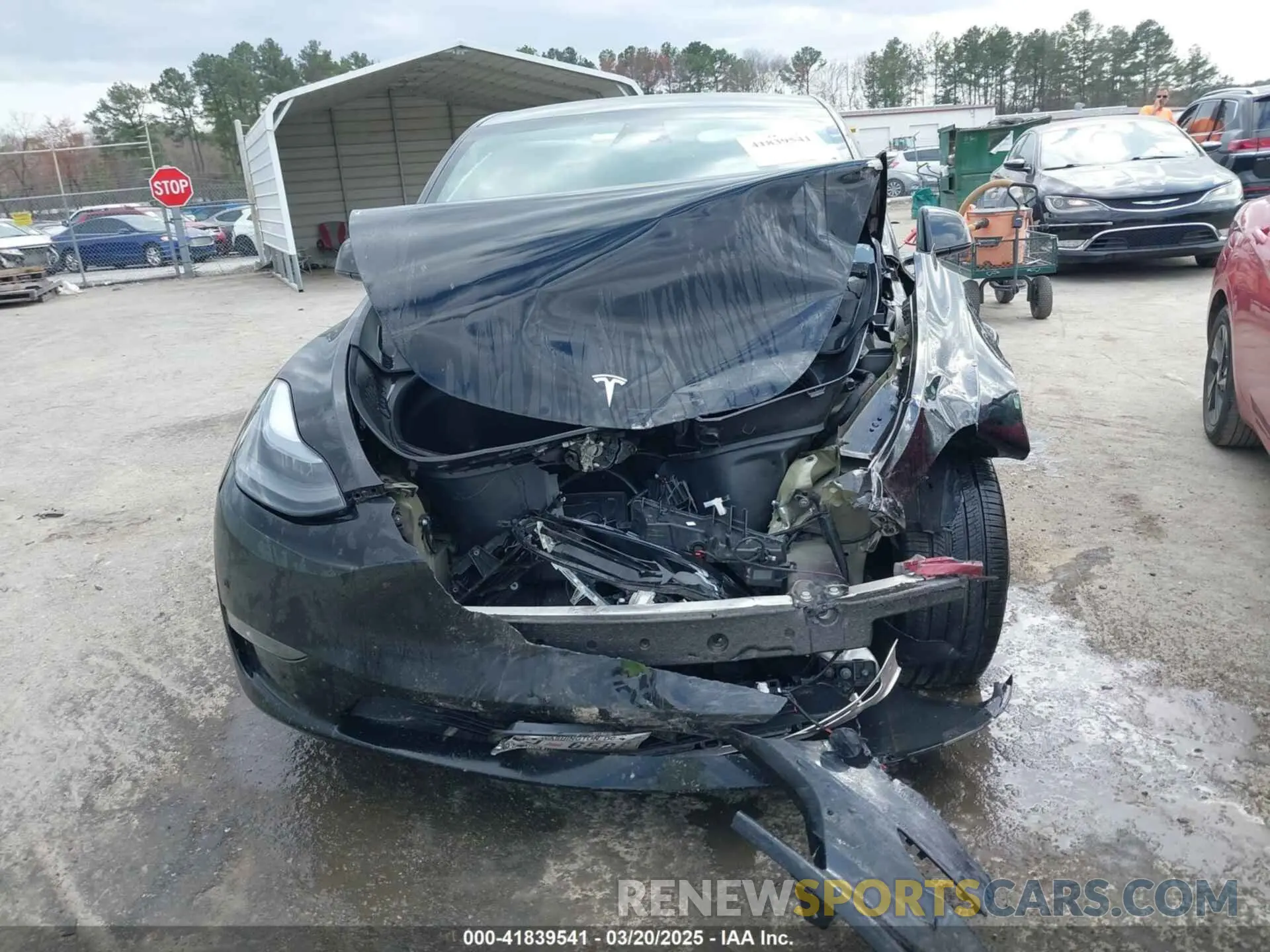 12 Photograph of a damaged car 7SAYGDEE2RA227425 TESLA MODEL Y 2024