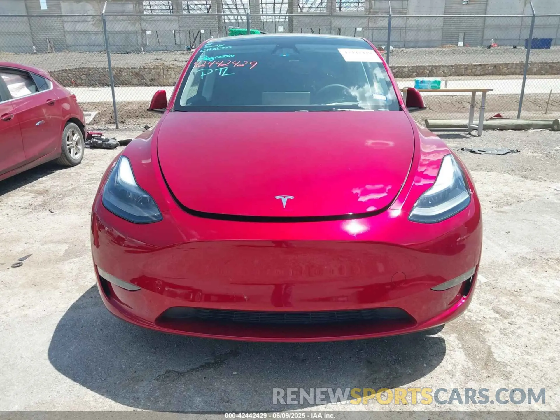 11 Photograph of a damaged car 7SAYGDEE2RA281209 TESLA MODEL Y 2024