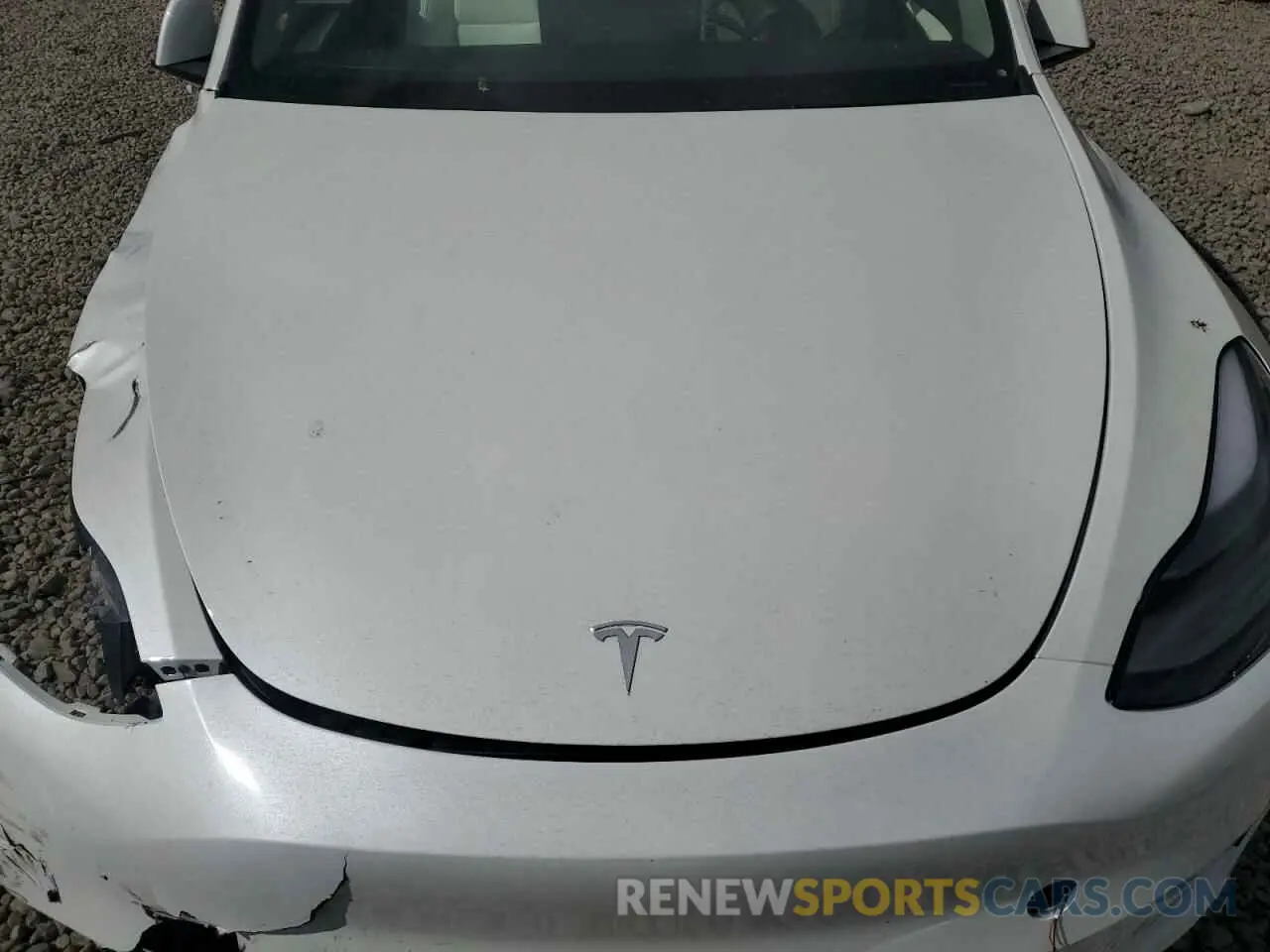 12 Фотография поврежденного автомобиля 7SAYGDEE2RF130499 TESLA MODEL Y 2024
