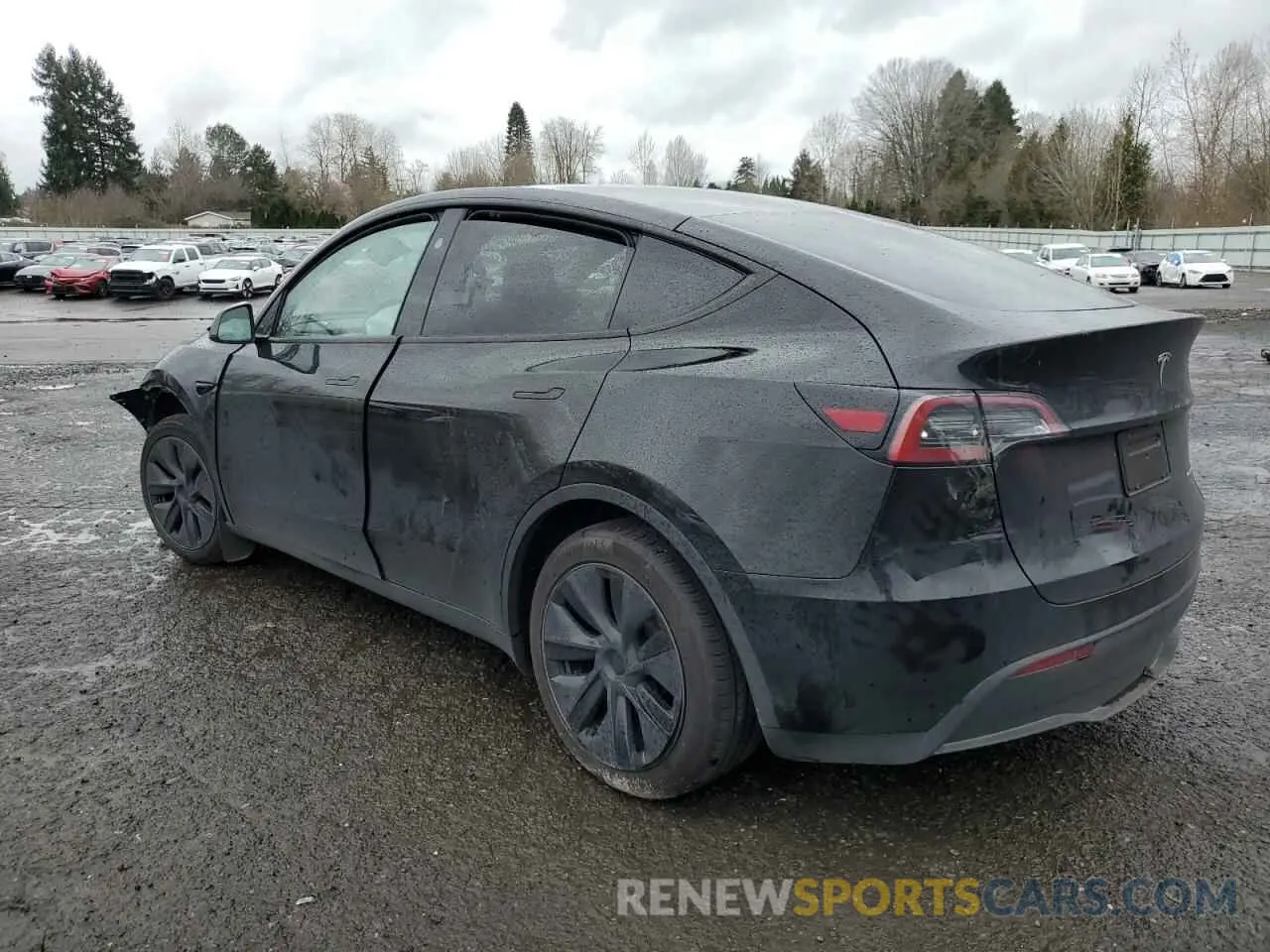 2 Photograph of a damaged car 7SAYGDEE2RF131085 TESLA MODEL Y 2024