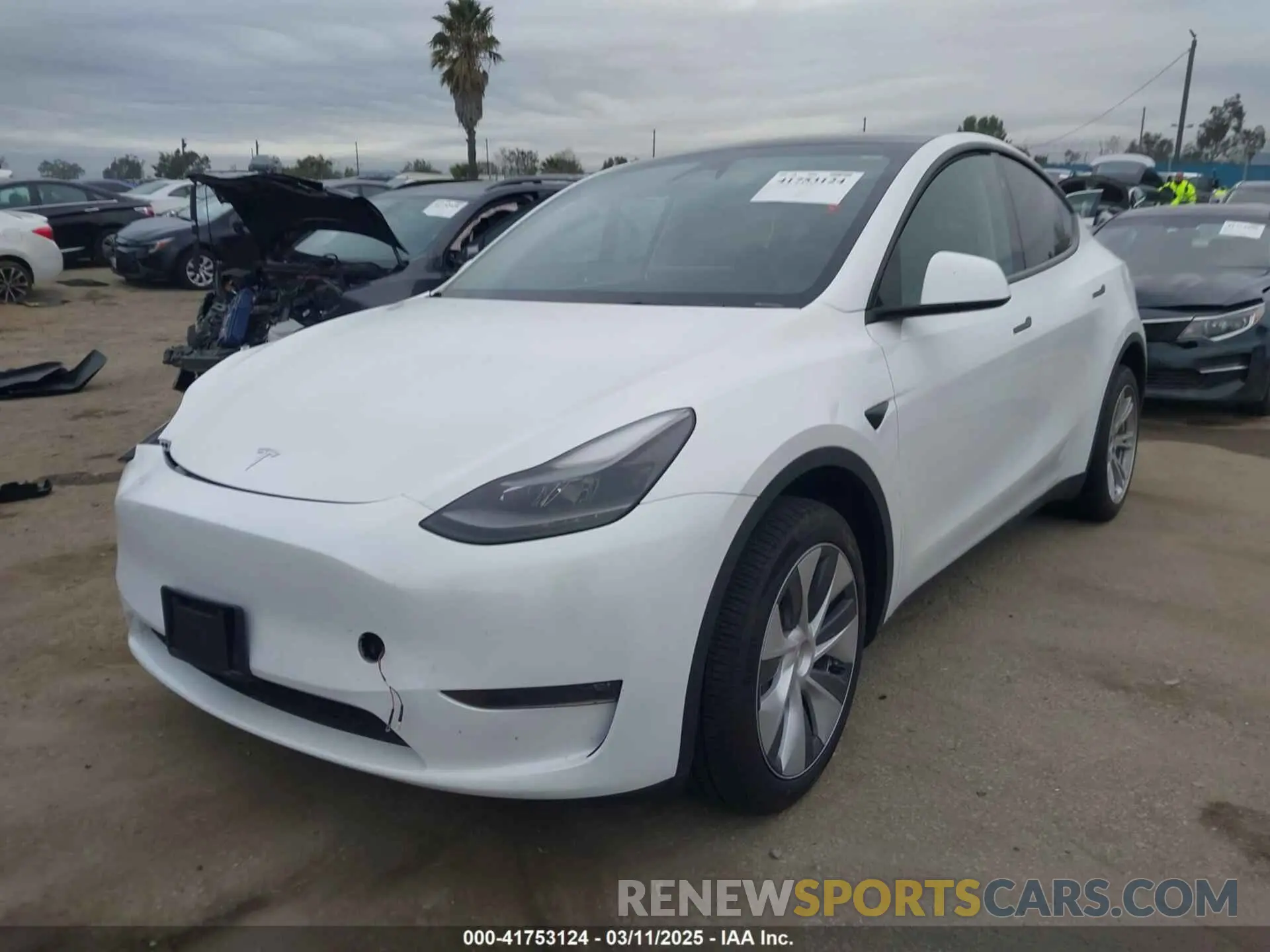 2 Фотография поврежденного автомобиля 7SAYGDEE3RA232293 TESLA MODEL Y 2024