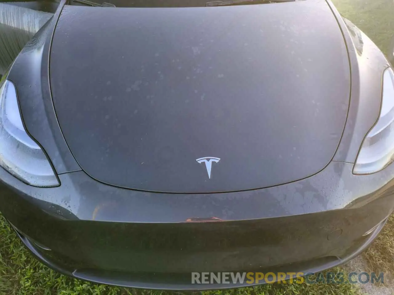 12 Фотография поврежденного автомобиля 7SAYGDEE3RA252026 TESLA MODEL Y 2024