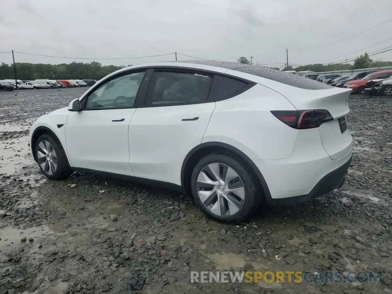 2 Photograph of a damaged car 7SAYGDEE3RA283311 TESLA MODEL Y 2024