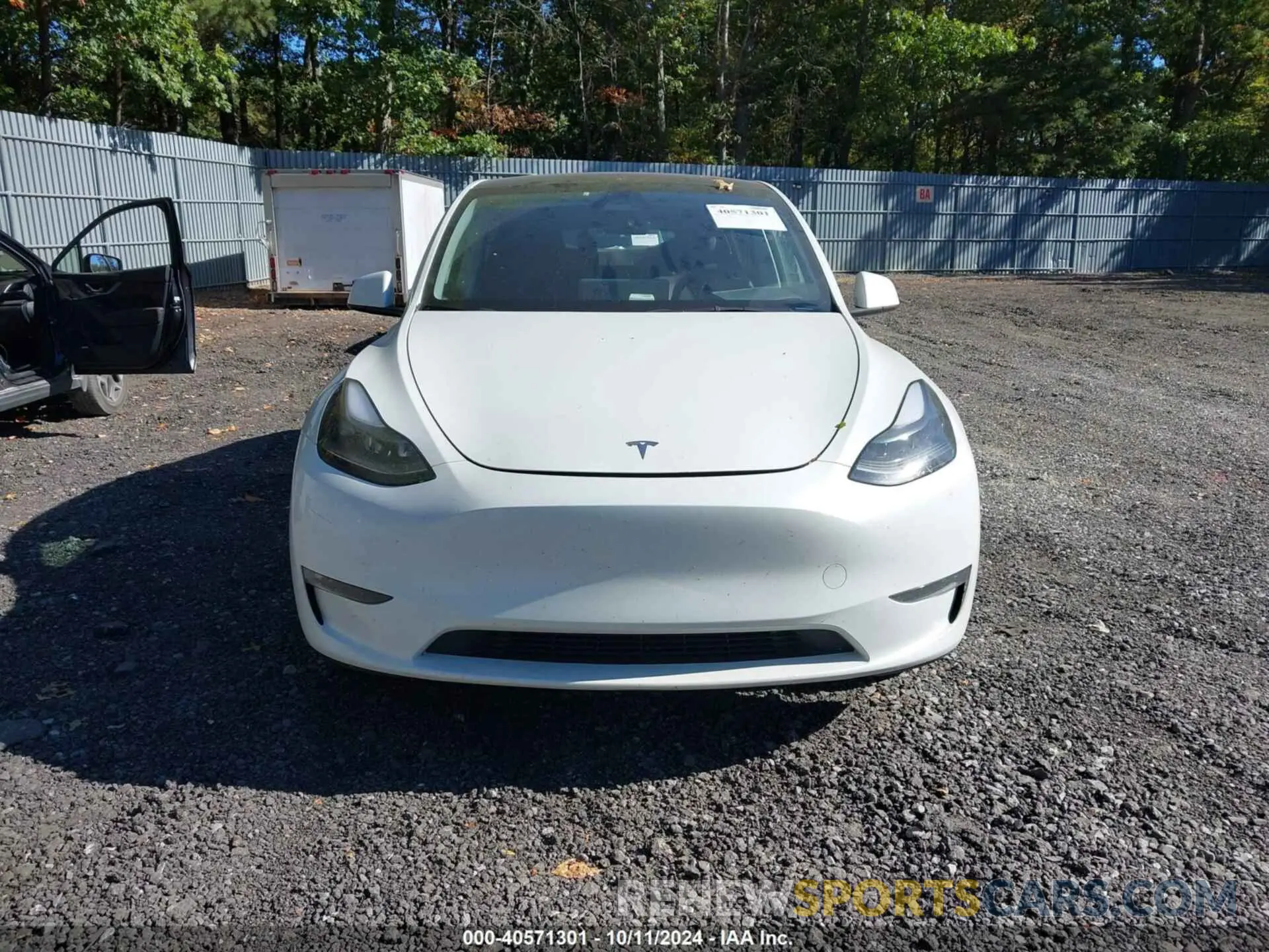 12 Фотография поврежденного автомобиля 7SAYGDEE3RF007794 TESLA MODEL Y 2024