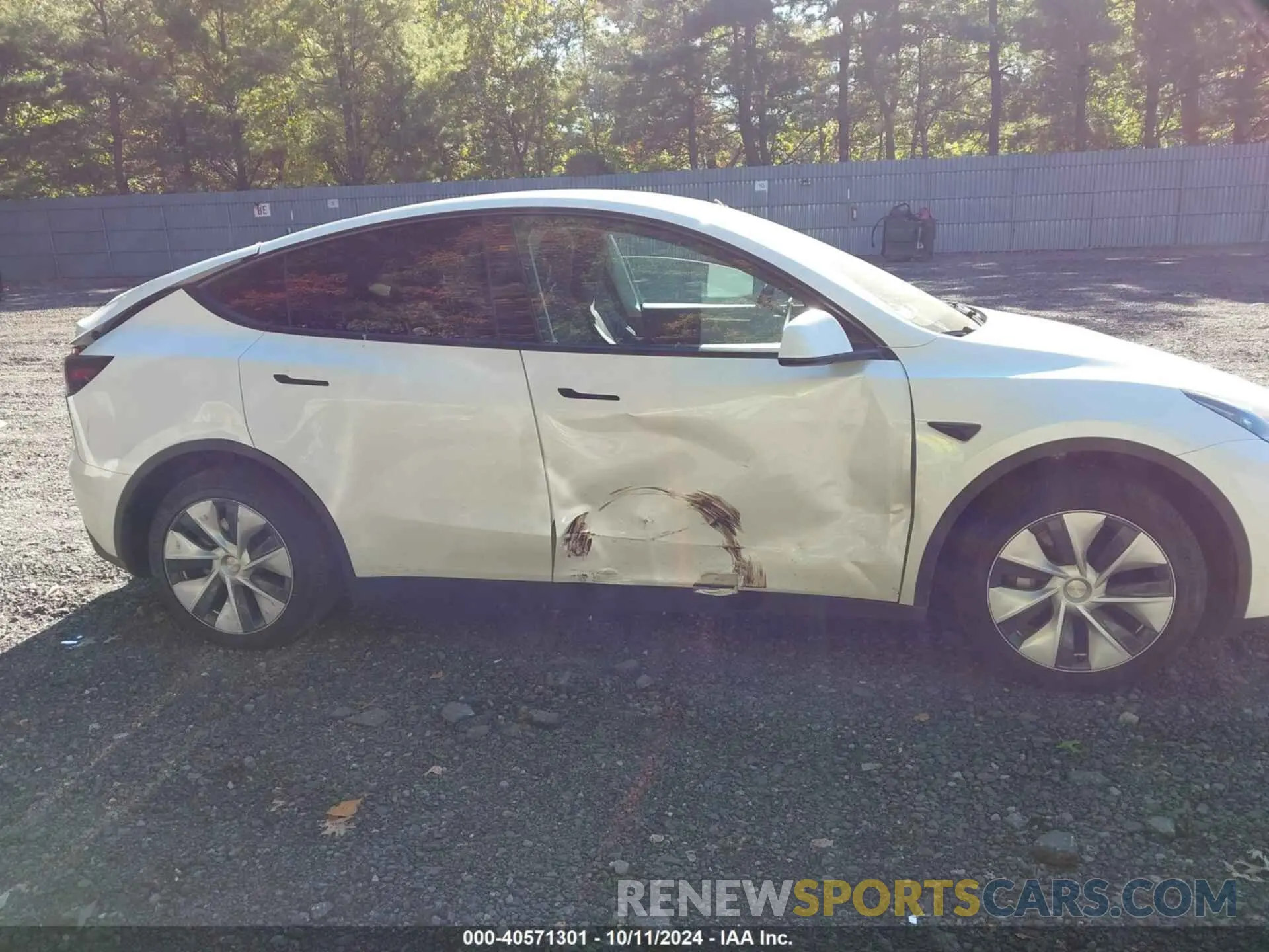 13 Фотография поврежденного автомобиля 7SAYGDEE3RF007794 TESLA MODEL Y 2024