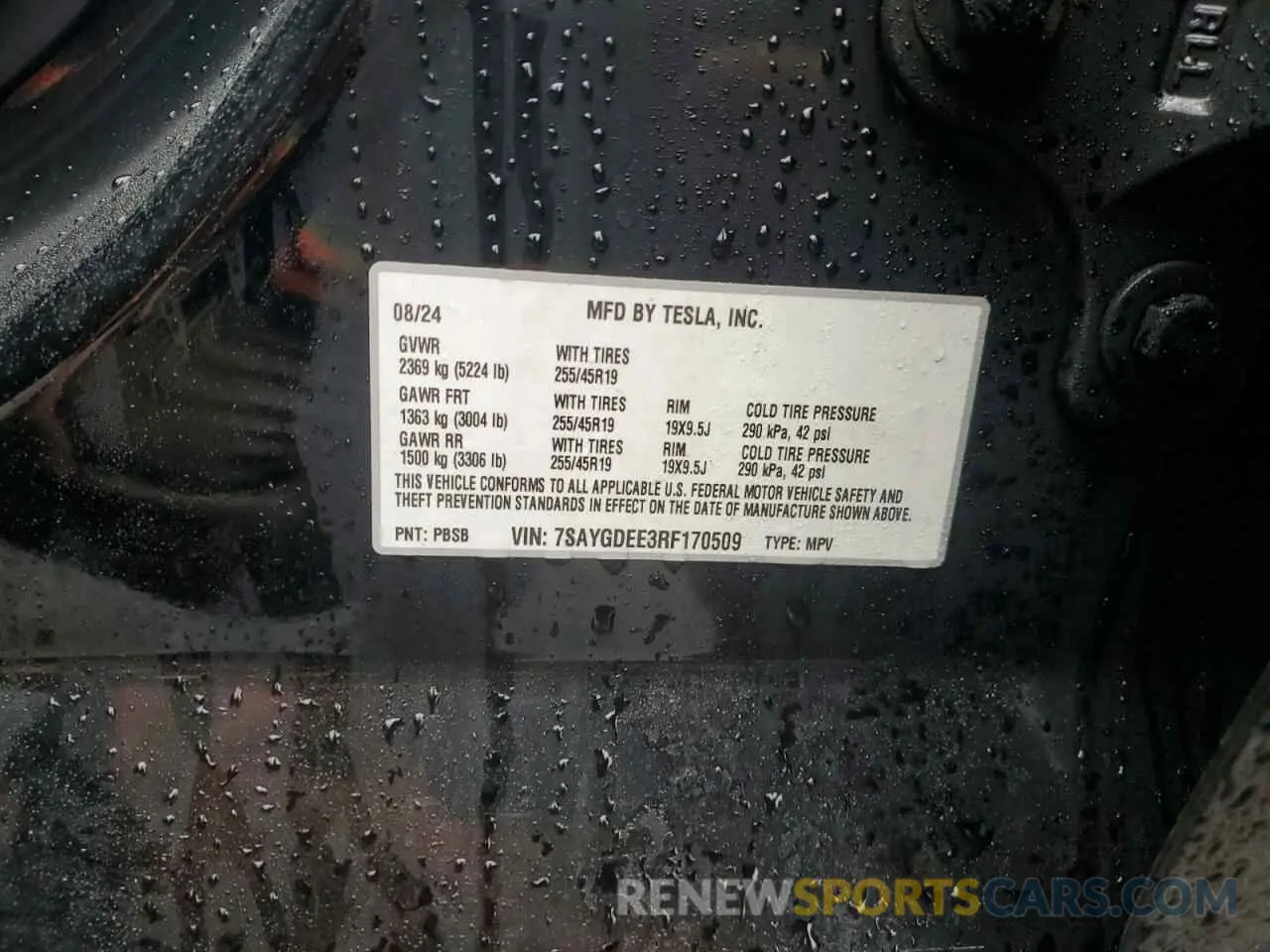 12 Photograph of a damaged car 7SAYGDEE3RF170509 TESLA MODEL Y 2024