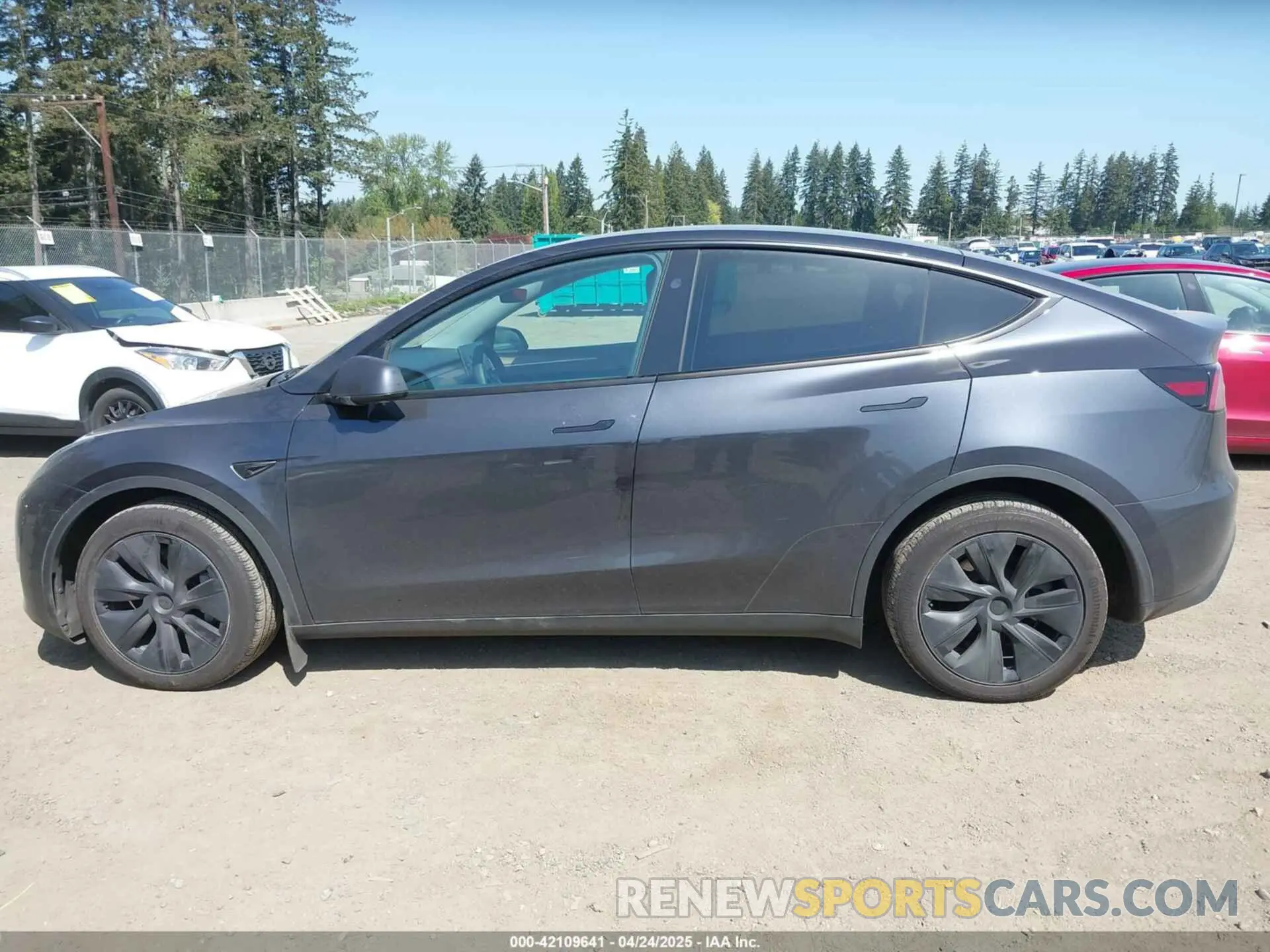 14 Фотография поврежденного автомобиля 7SAYGDEE3RF177458 TESLA MODEL Y 2024