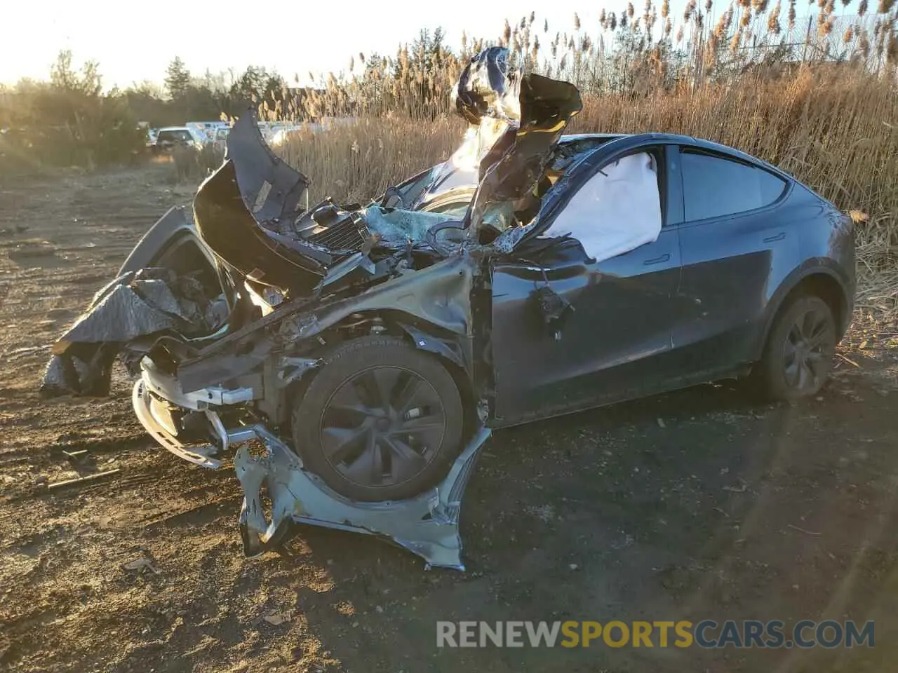 1 Фотография поврежденного автомобиля 7SAYGDEE4RA319880 TESLA MODEL Y 2024