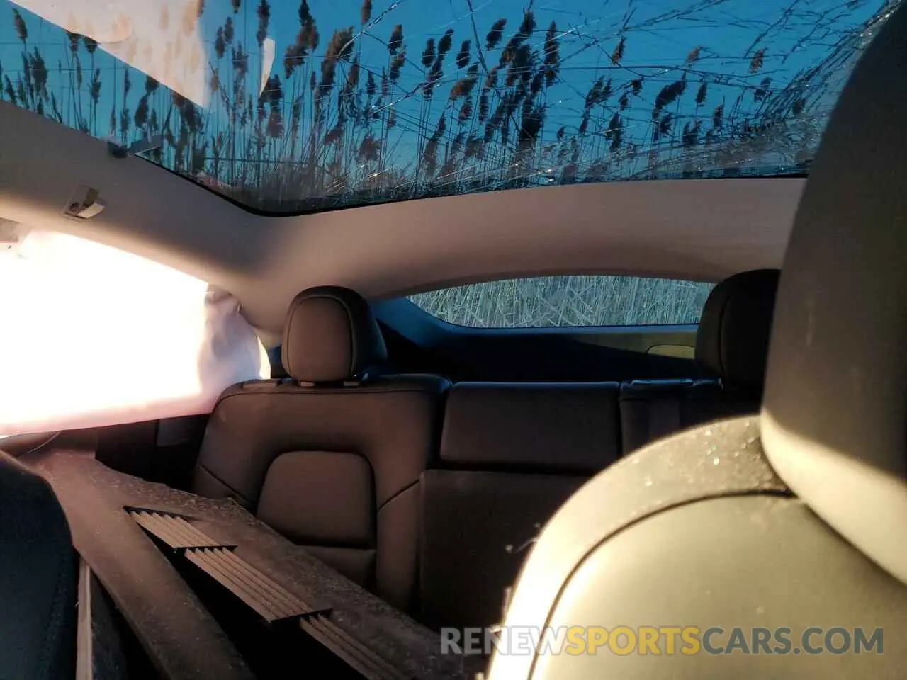 10 Фотография поврежденного автомобиля 7SAYGDEE4RA319880 TESLA MODEL Y 2024