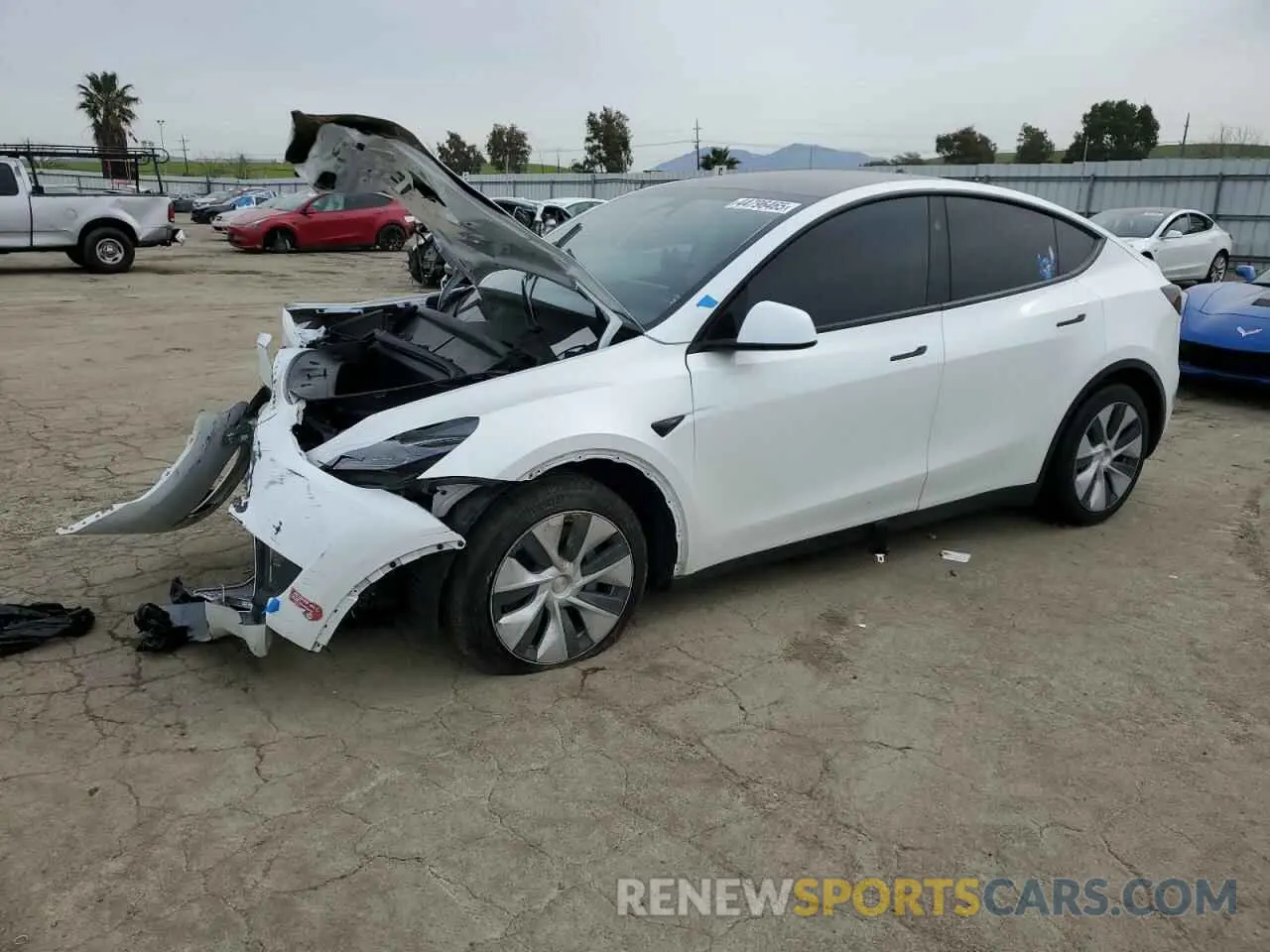 1 Фотография поврежденного автомобиля 7SAYGDEE4RF070760 TESLA MODEL Y 2024