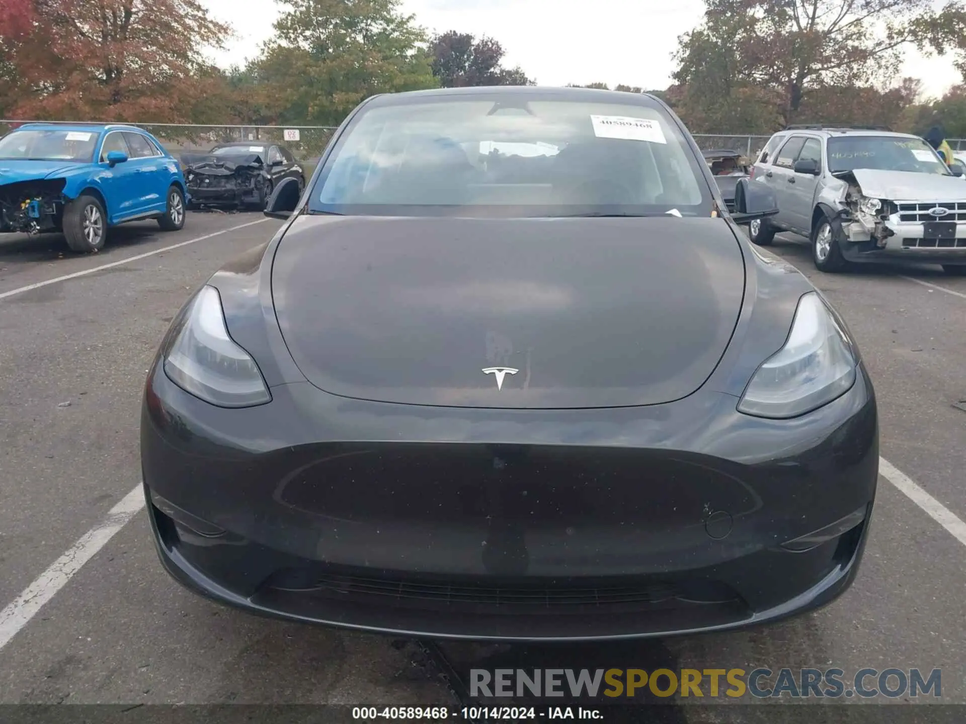 11 Photograph of a damaged car 7SAYGDEE4RF159521 TESLA MODEL Y 2024