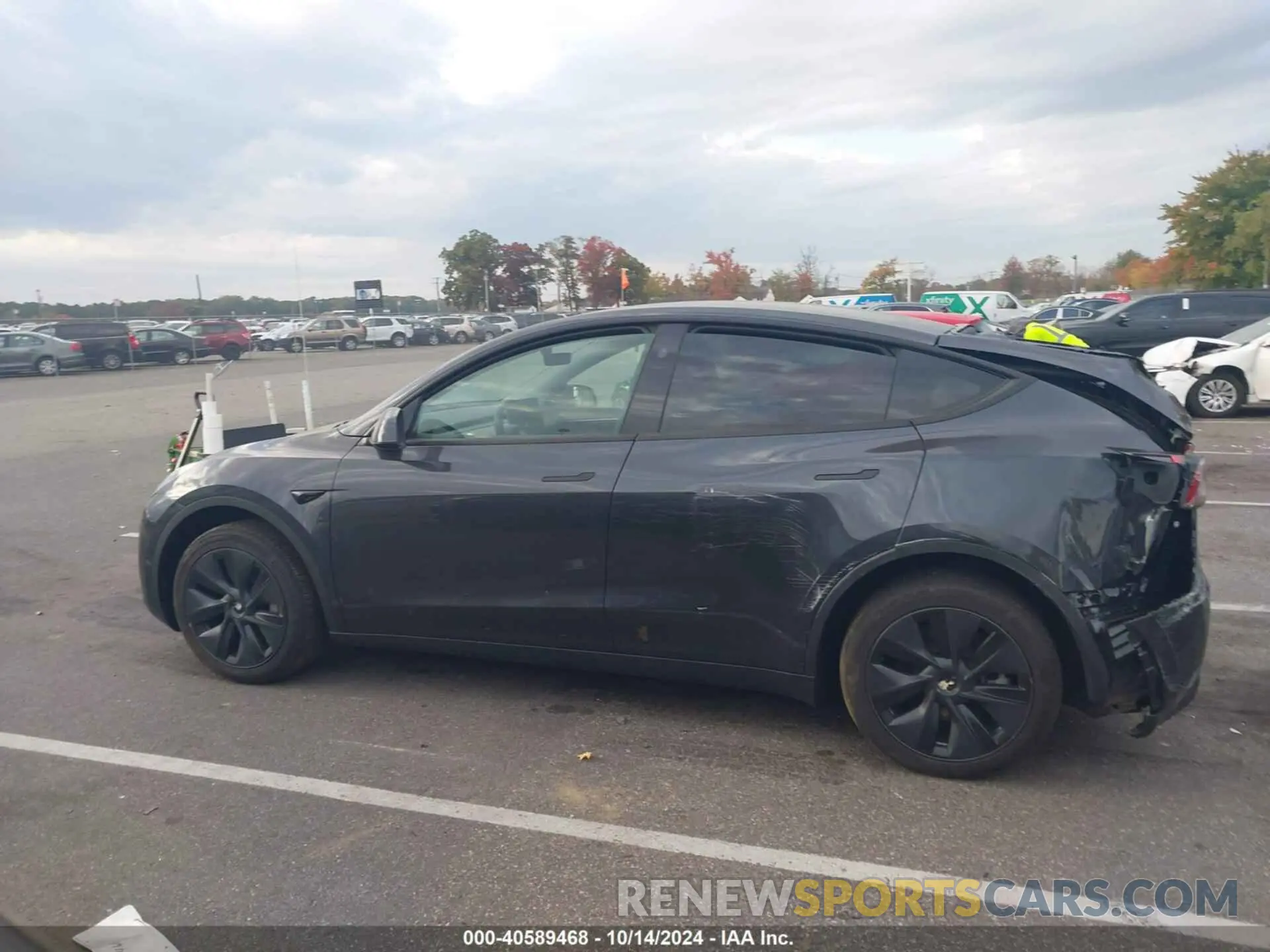 13 Photograph of a damaged car 7SAYGDEE4RF159521 TESLA MODEL Y 2024