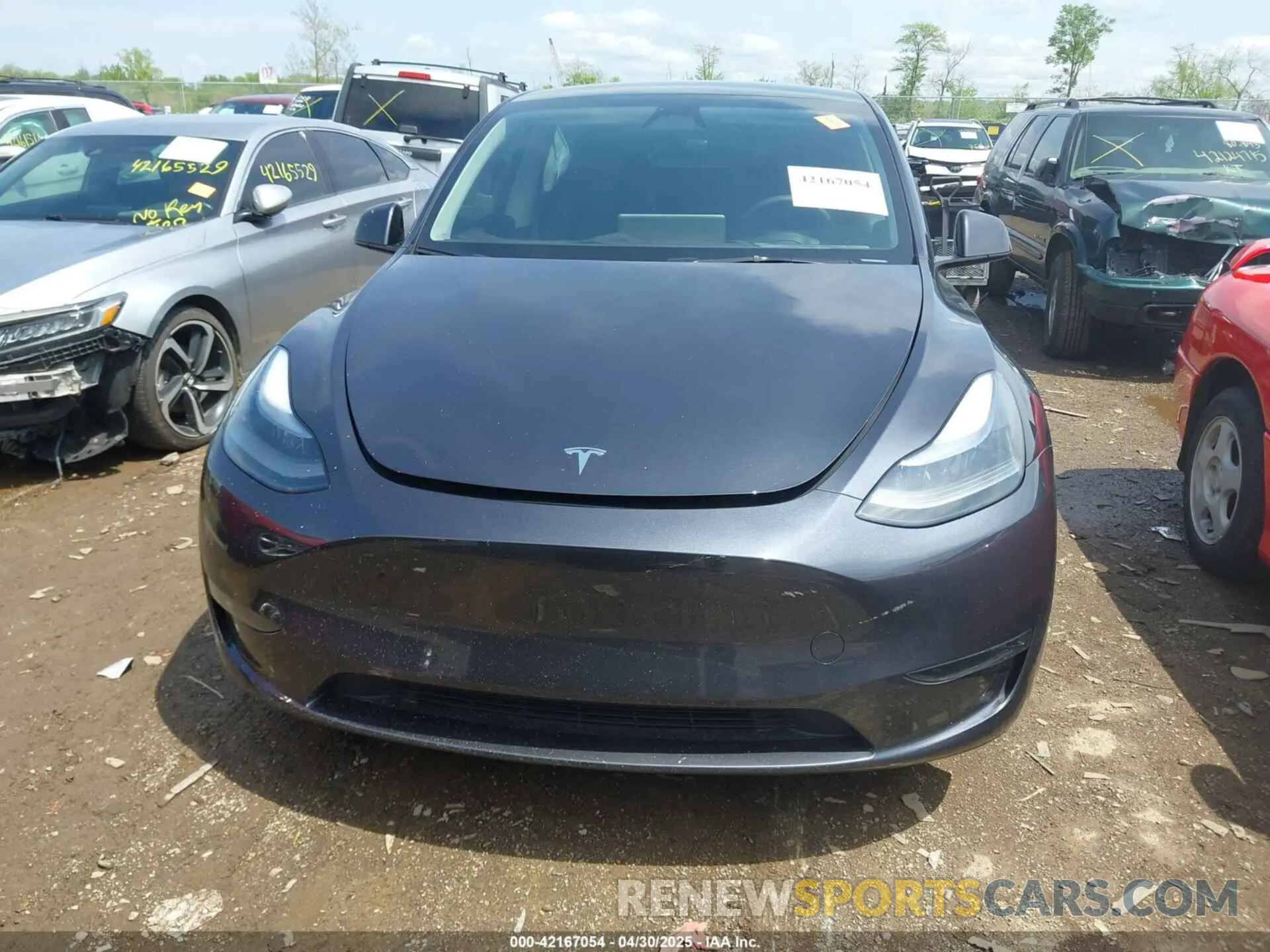 13 Photograph of a damaged car 7SAYGDEE5RA224759 TESLA MODEL Y 2024