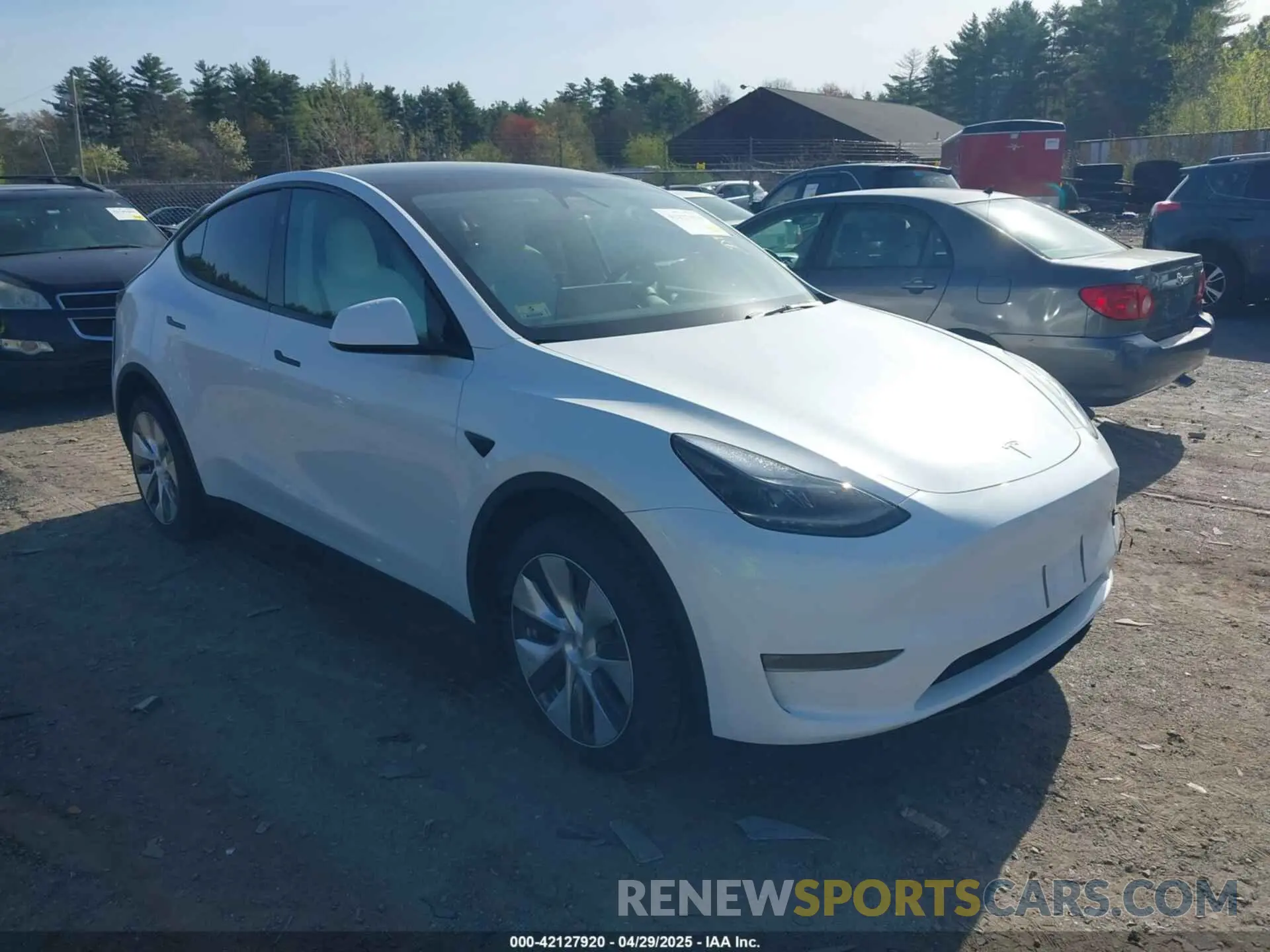 1 Фотография поврежденного автомобиля 7SAYGDEE6RA269435 TESLA MODEL Y 2024