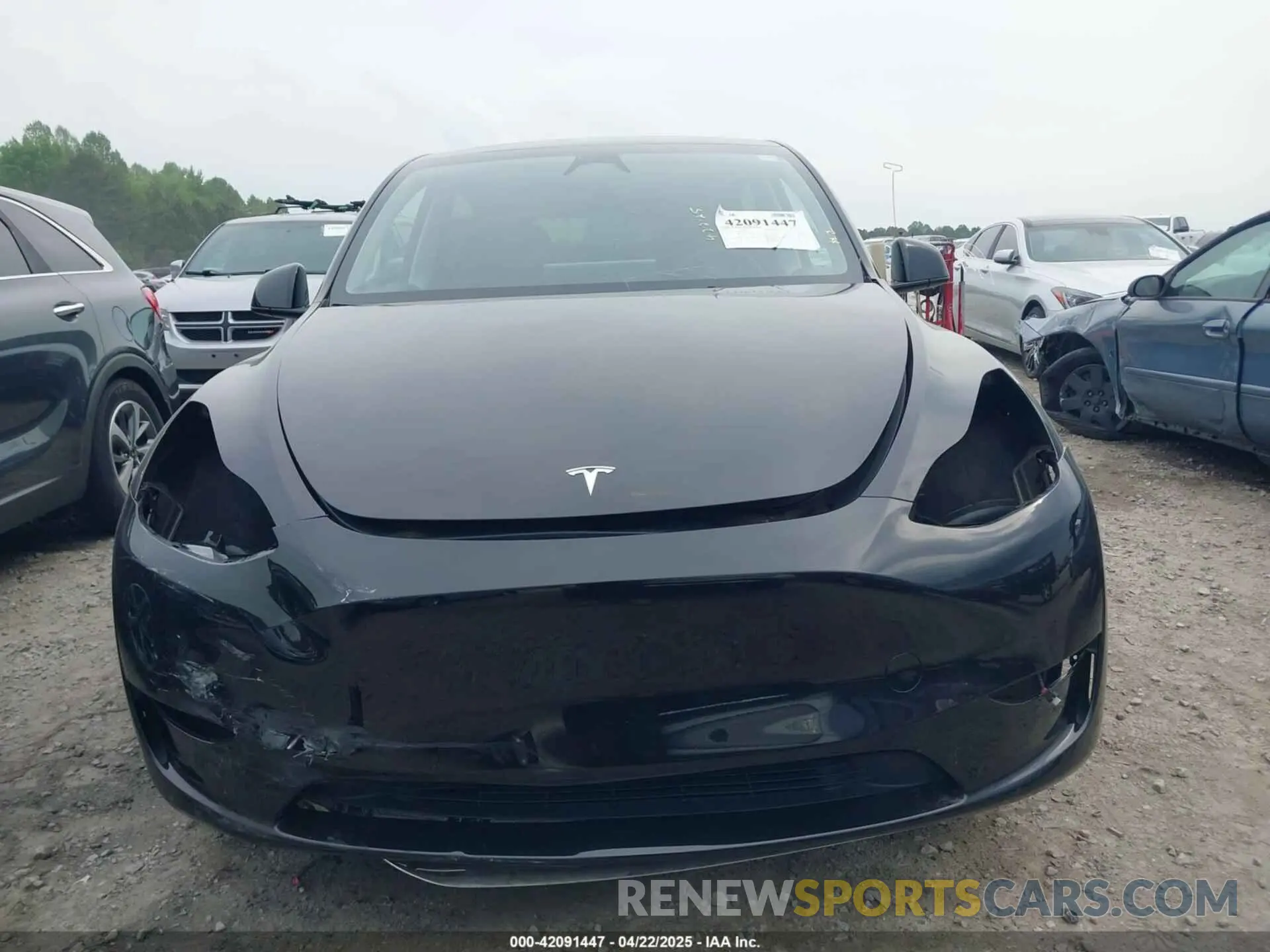 13 Фотография поврежденного автомобиля 7SAYGDEE6RA271573 TESLA MODEL Y 2024