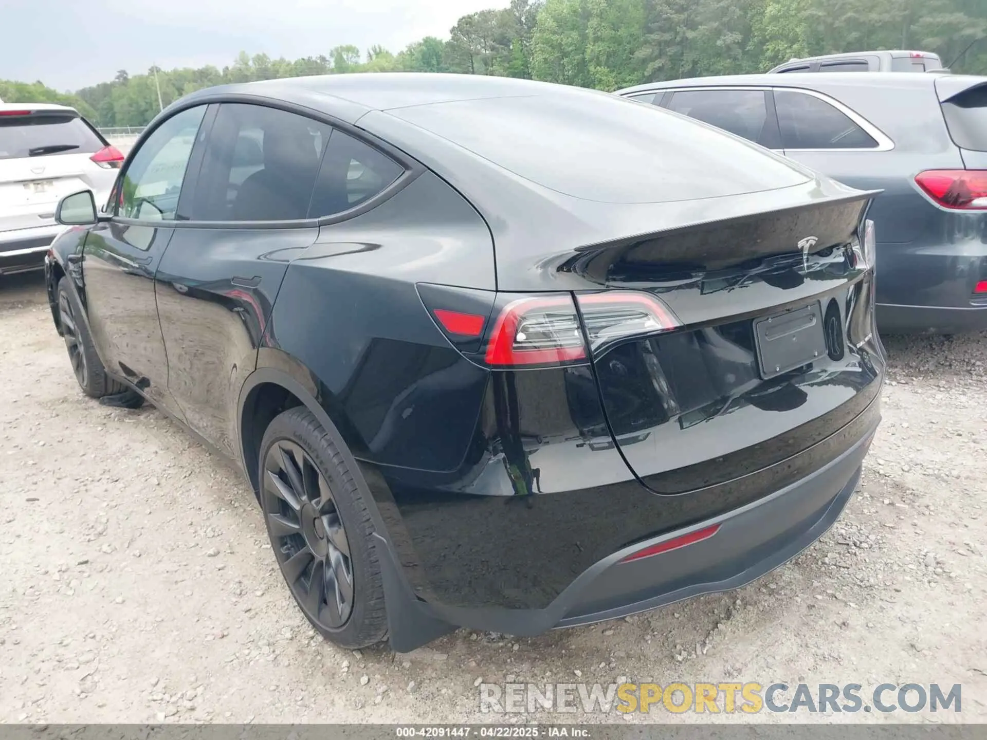 3 Фотография поврежденного автомобиля 7SAYGDEE6RA271573 TESLA MODEL Y 2024