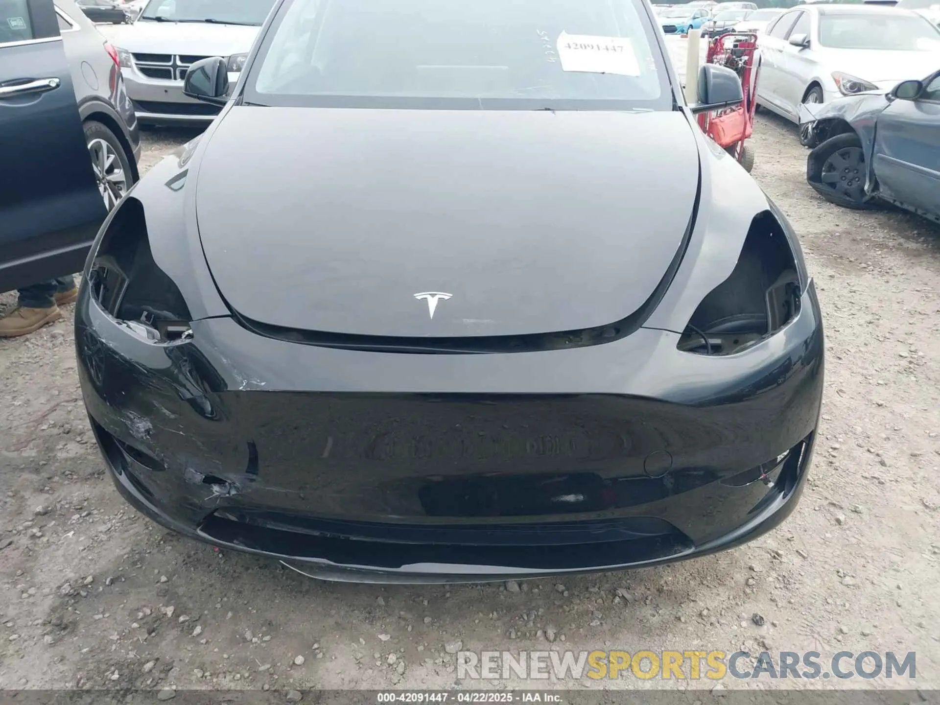 6 Фотография поврежденного автомобиля 7SAYGDEE6RA271573 TESLA MODEL Y 2024