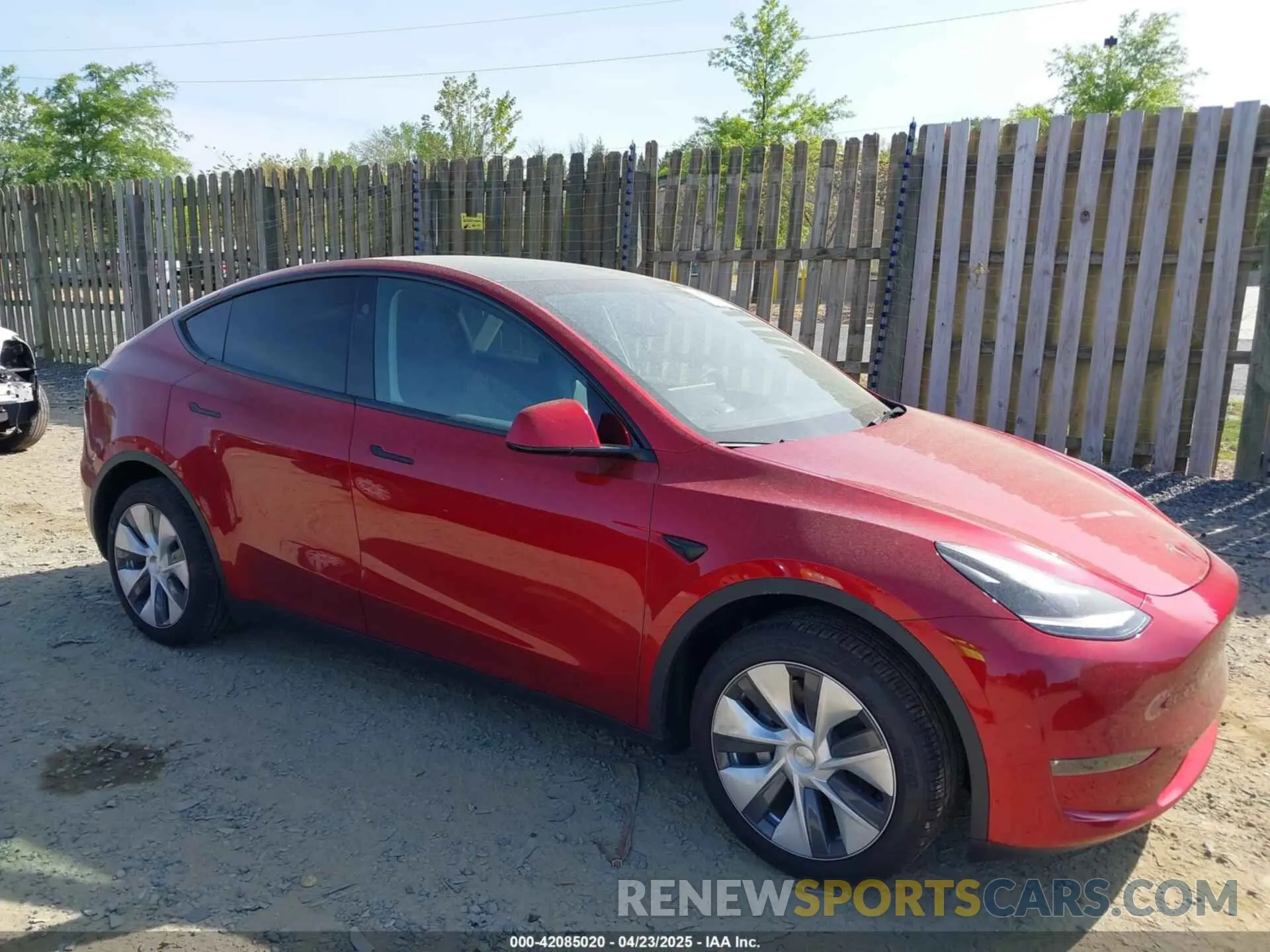 1 Фотография поврежденного автомобиля 7SAYGDEE6RA275784 TESLA MODEL Y 2024