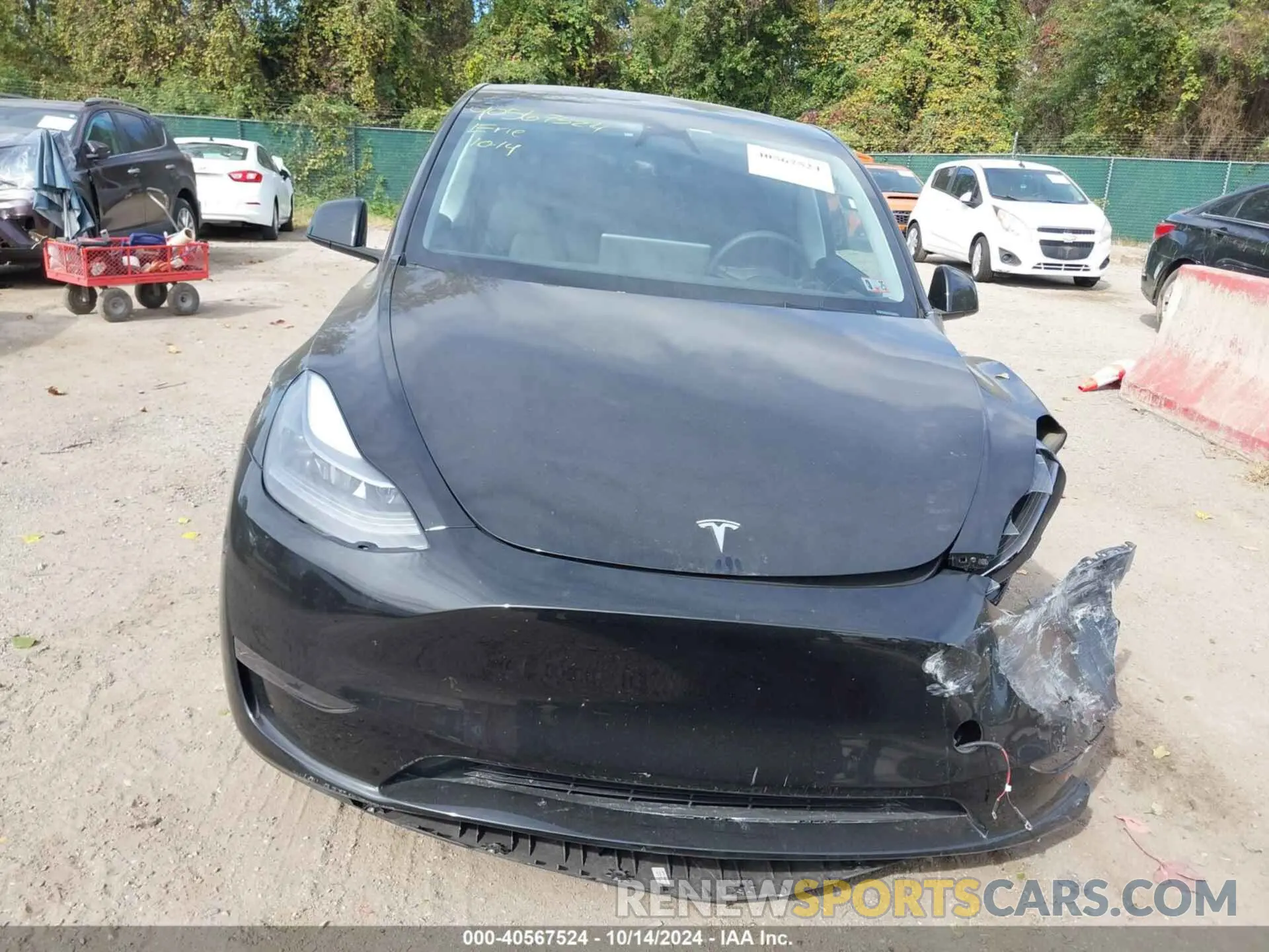 13 Фотография поврежденного автомобиля 7SAYGDEE7RA235097 TESLA MODEL Y 2024