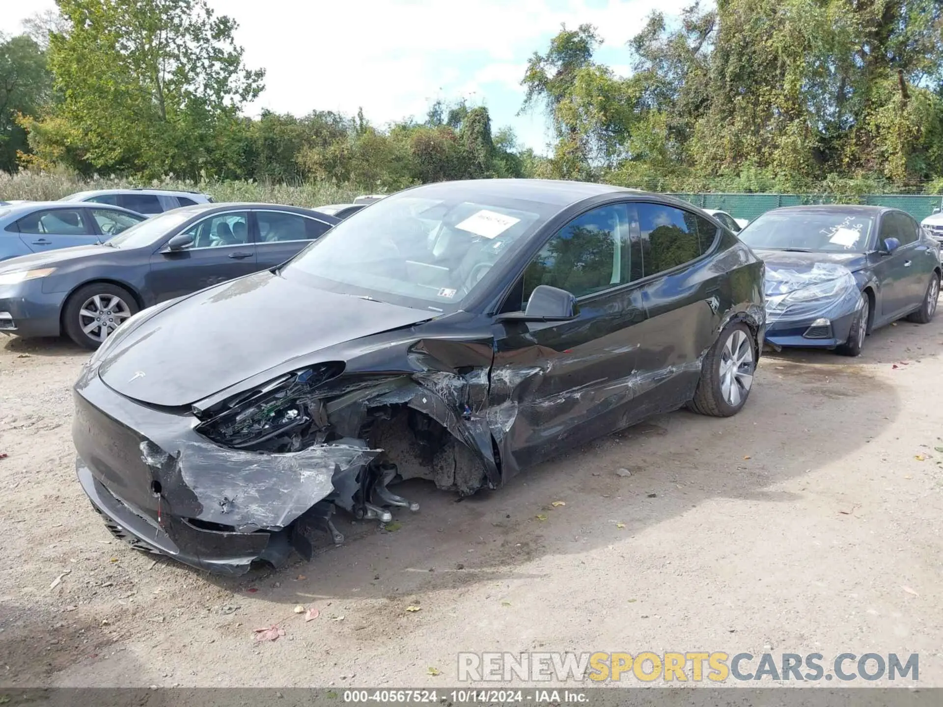 2 Фотография поврежденного автомобиля 7SAYGDEE7RA235097 TESLA MODEL Y 2024