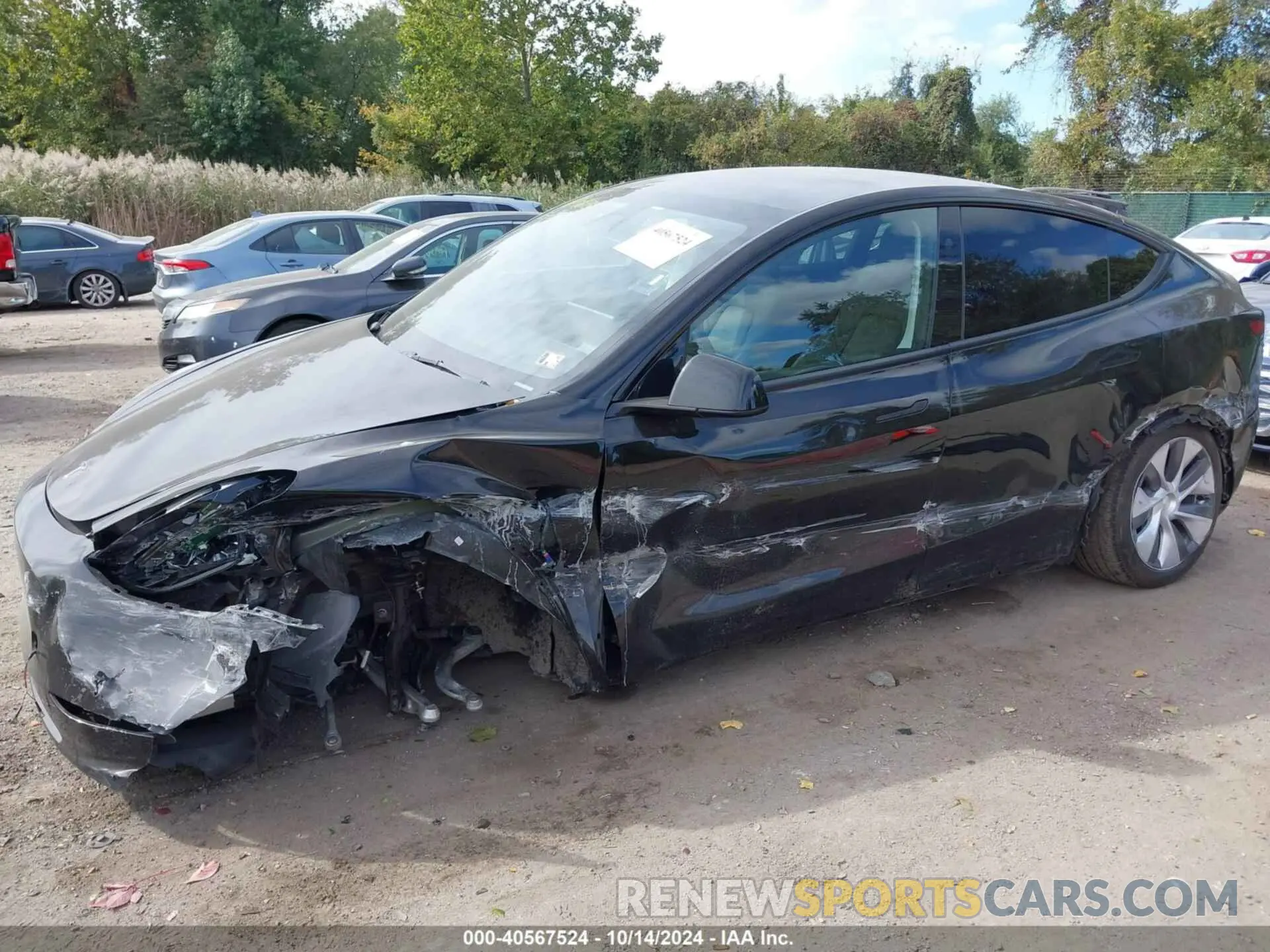 6 Фотография поврежденного автомобиля 7SAYGDEE7RA235097 TESLA MODEL Y 2024