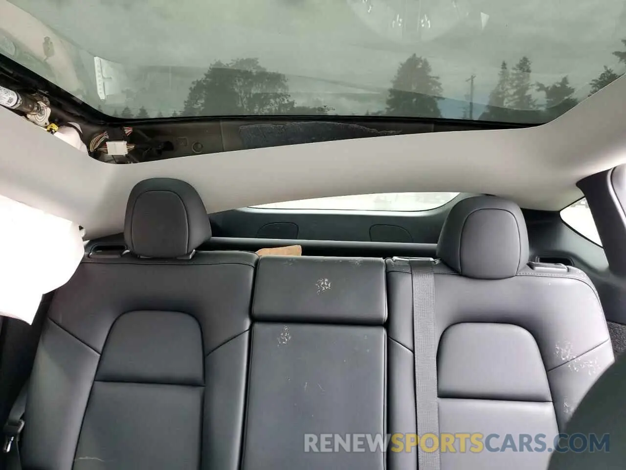 10 Фотография поврежденного автомобиля 7SAYGDEE7RF985344 TESLA MODEL Y 2024