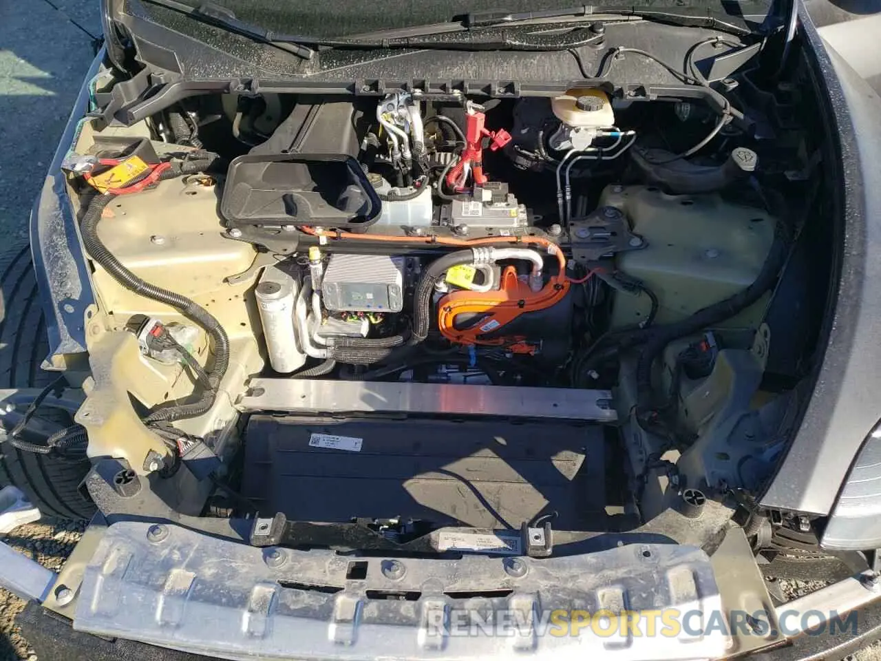 13 Photograph of a damaged car 7SAYGDEE8RF002655 TESLA MODEL Y 2024