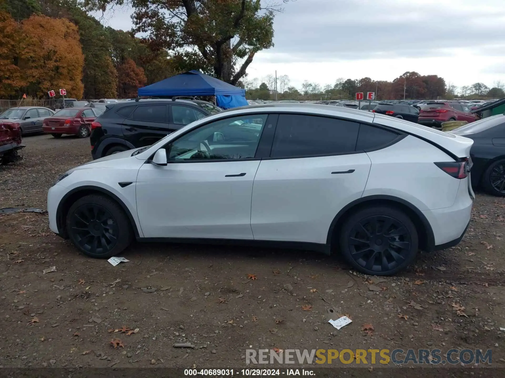 14 Photograph of a damaged car 7SAYGDEE8RF036837 TESLA MODEL Y 2024